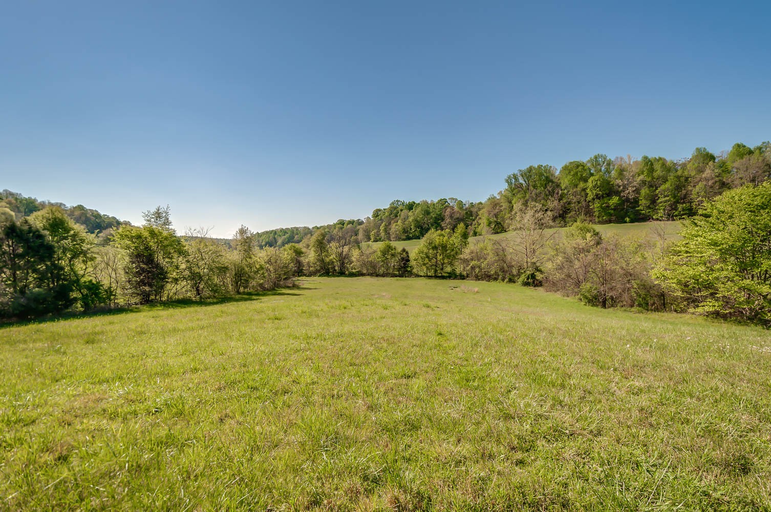 5593 Snow Creek Road Santa Fe, TN 38482 - Photo 4 of 22