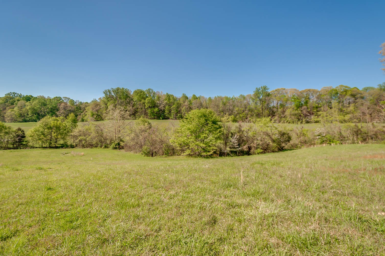 5593 Snow Creek Road Santa Fe, TN 38482 - Photo 5 of 22 a view of an ocean
