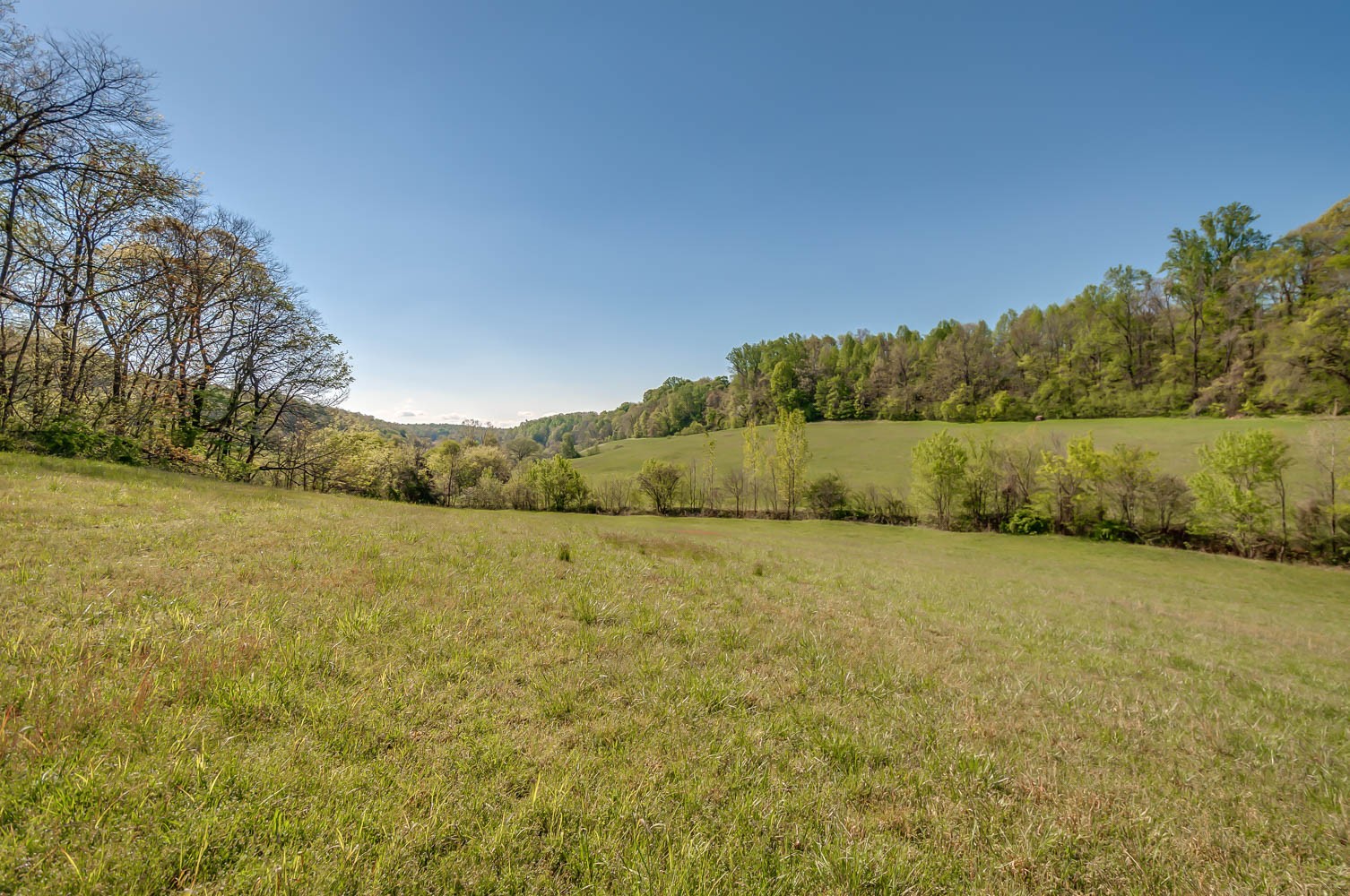 5593 Snow Creek Road Santa Fe, TN 38482 - Photo 6 of 22 a view of an outdoor space and mountain view