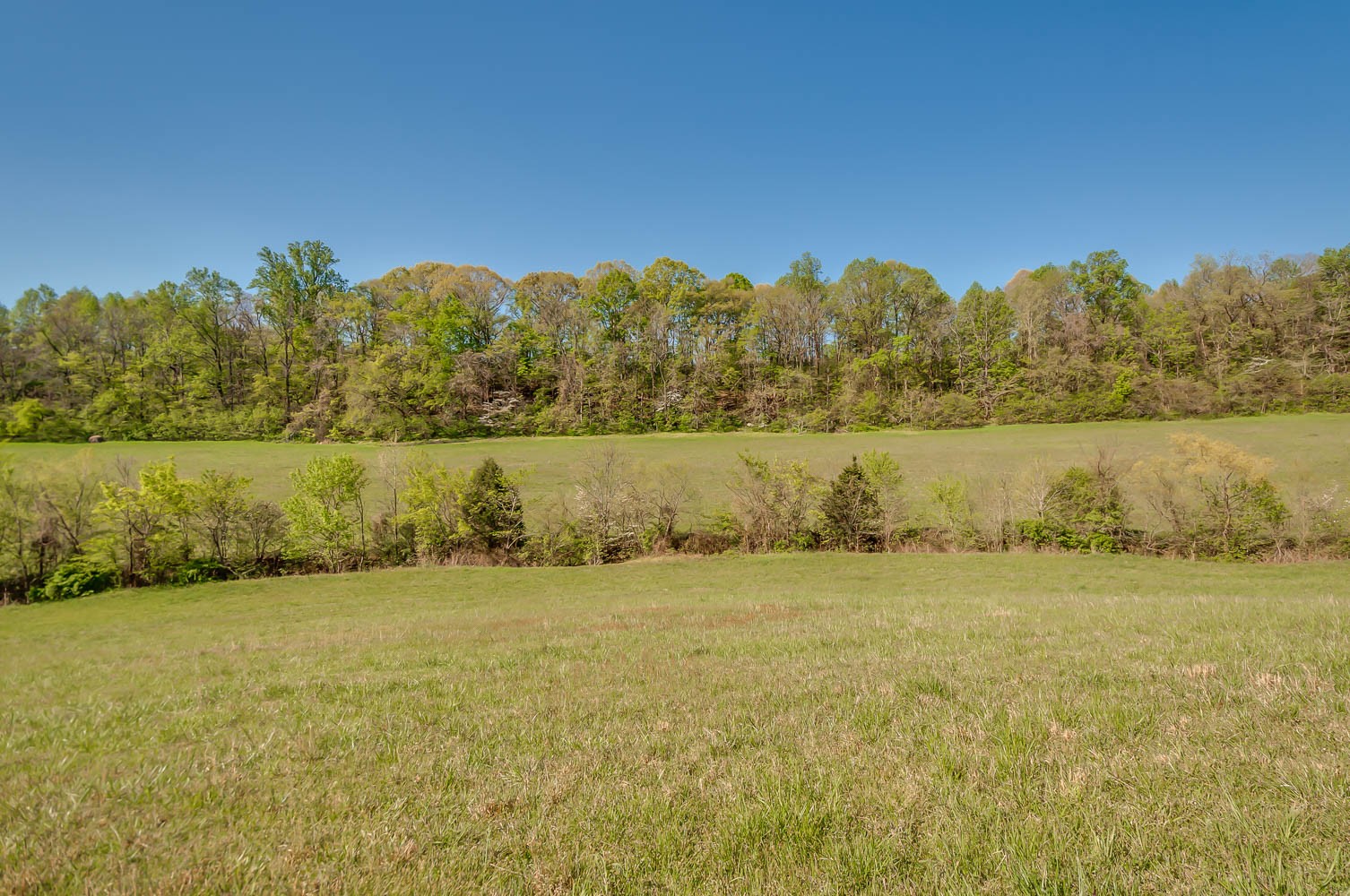 5593 Snow Creek Road Santa Fe, TN 38482 - Photo 7 of 22 a view of yard and ocean view