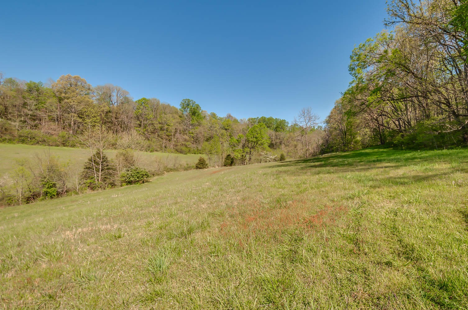 5593 Snow Creek Road Santa Fe, TN 38482 - Photo 8 of 22 a view of ocean with green space