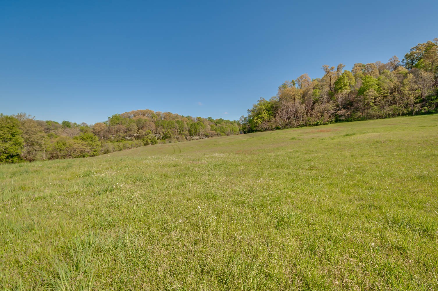 5593 Snow Creek Road Santa Fe, TN 38482 - Photo 9 of 22 a view of lake view and mountain view