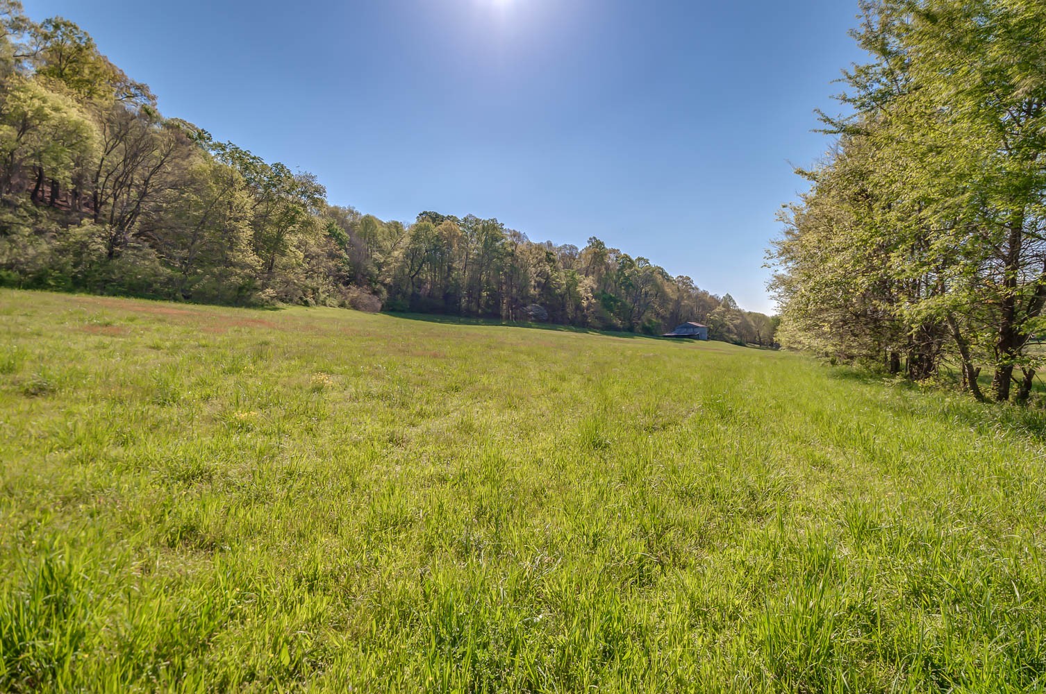 5593 Snow Creek Road Santa Fe, TN 38482 - Photo 10 of 22 a view of yard with large trees and mountain view