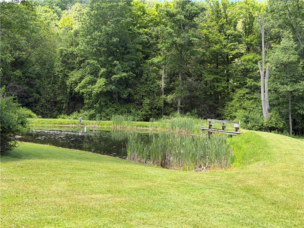2213 Brown Hollow Road Corning, NY 14830 - Photo 11 of 50