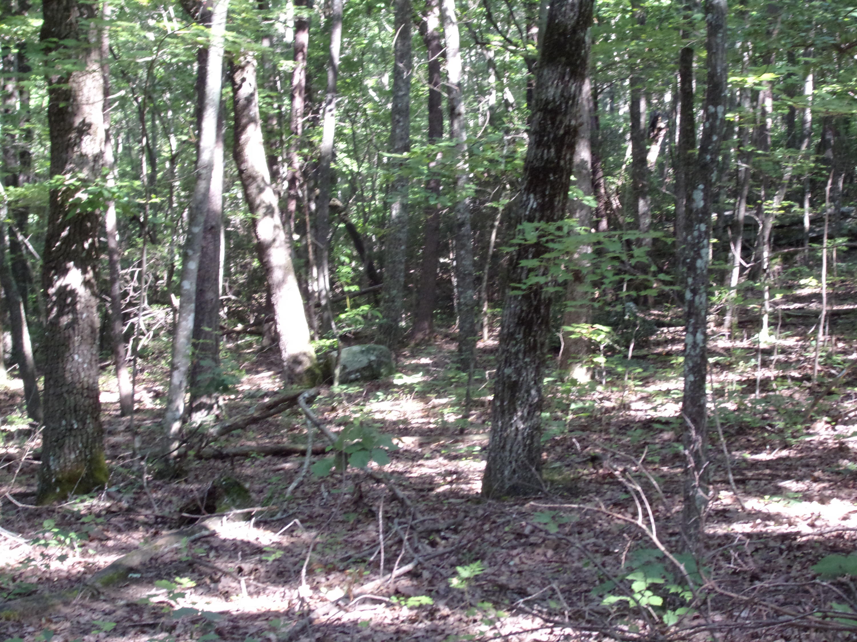 1710 Fernhill Road, Unit 70 Pikeville, TN 37367 - Photo 13 of 41 101_3130