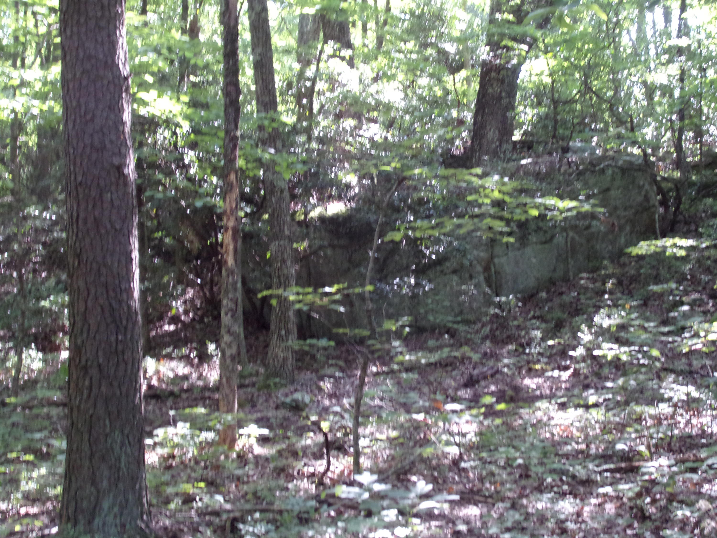 1710 Fernhill Road, Unit 70 Pikeville, TN 37367 - Photo 19 of 41 101_3136