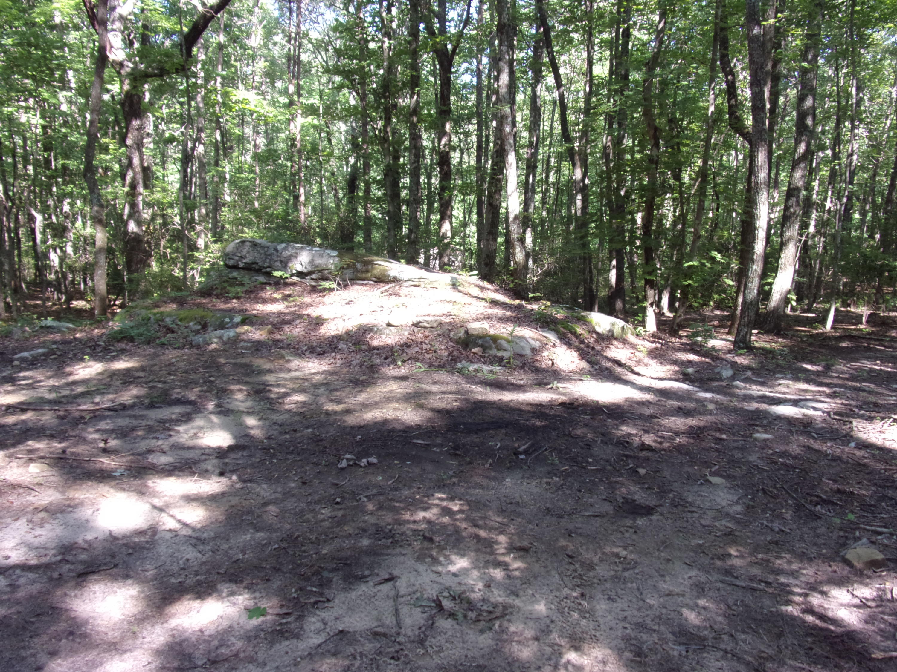 1710 Fernhill Road, Unit 70 Pikeville, TN 37367 - Photo 20 of 41 101_3137