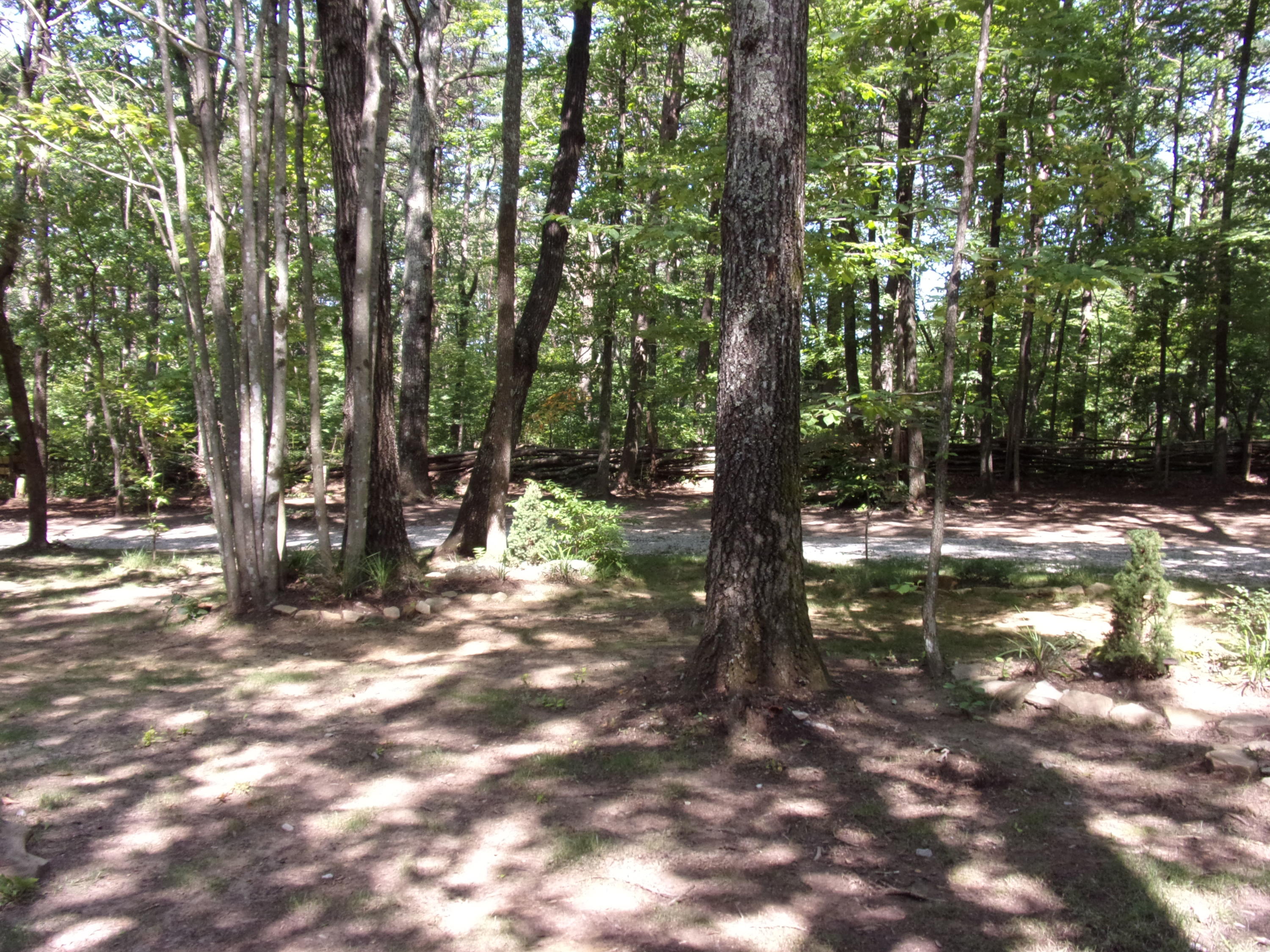 1710 Fernhill Road, Unit 70 Pikeville, TN 37367 - Photo 33 of 41 101_3157