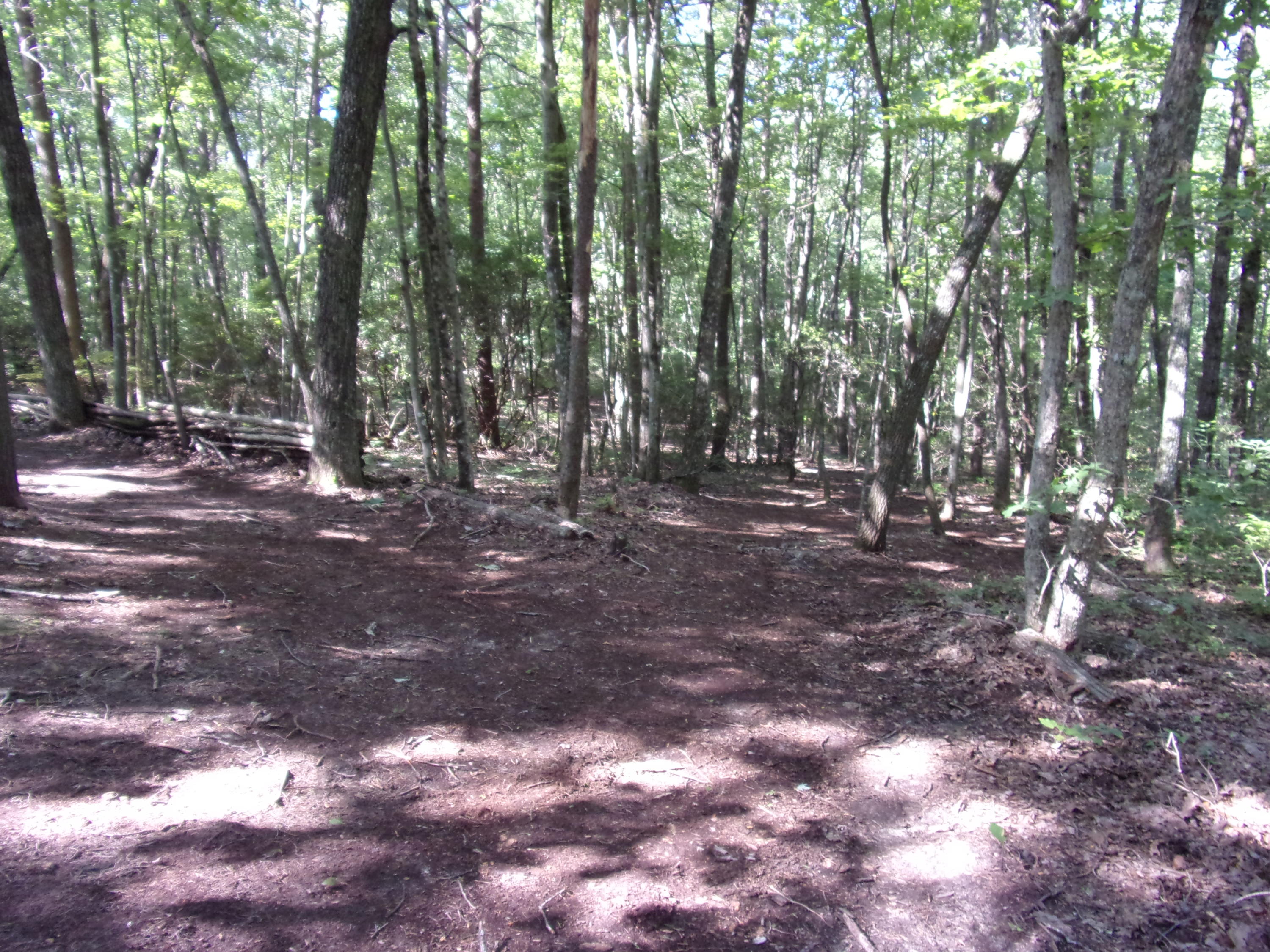 1710 Fernhill Road, Unit 70 Pikeville, TN 37367 - Photo 8 of 41 101_3129