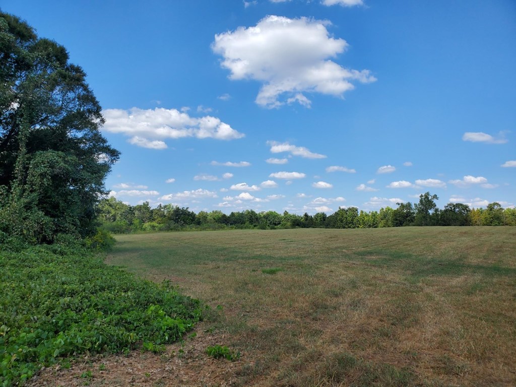 1243 Scott Road Slocomb, AL 36375 - Photo 4 of 10