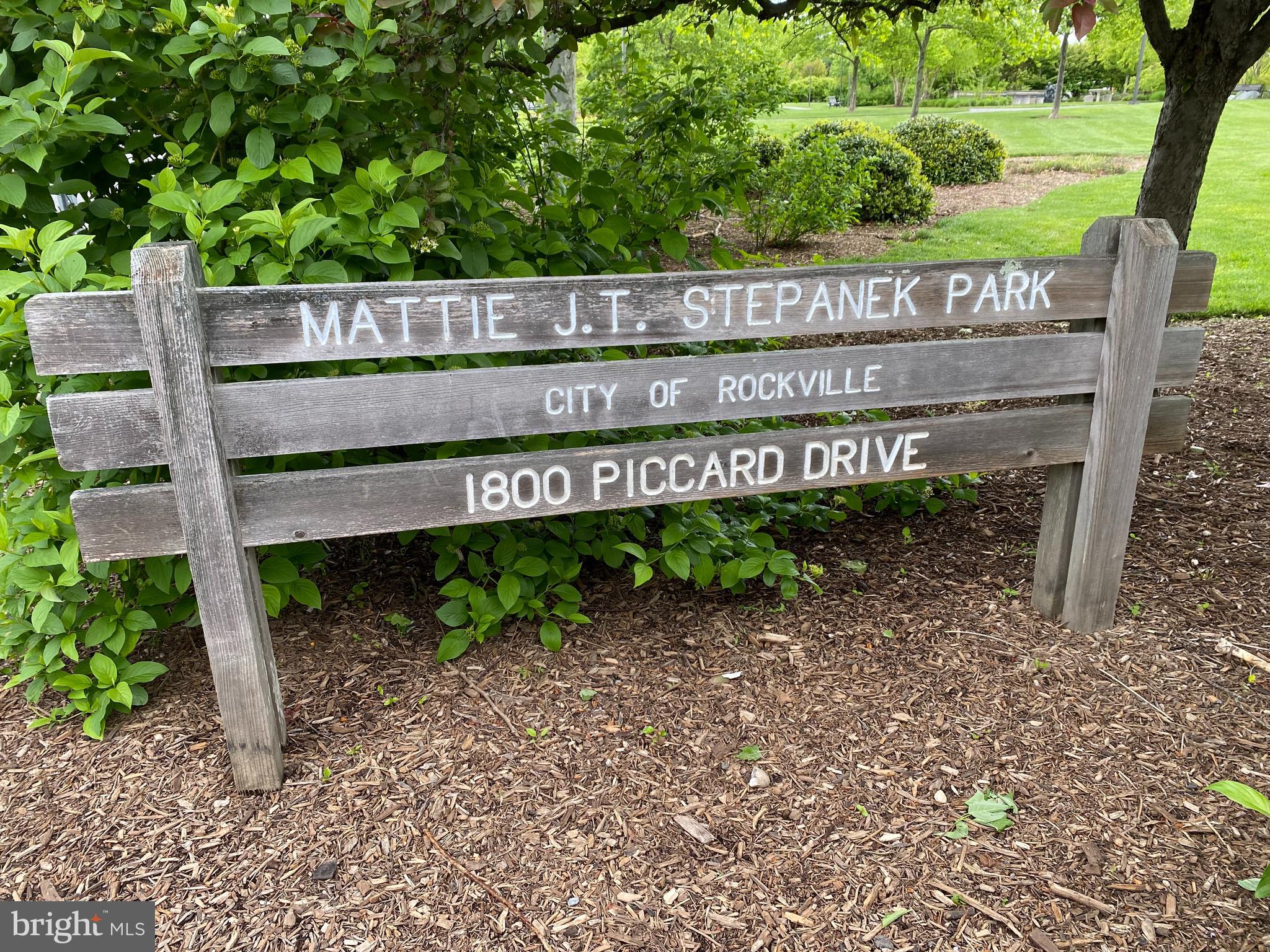 708 Ridgemont Avenue Rockville, MD 20850 - Photo 50 of 51