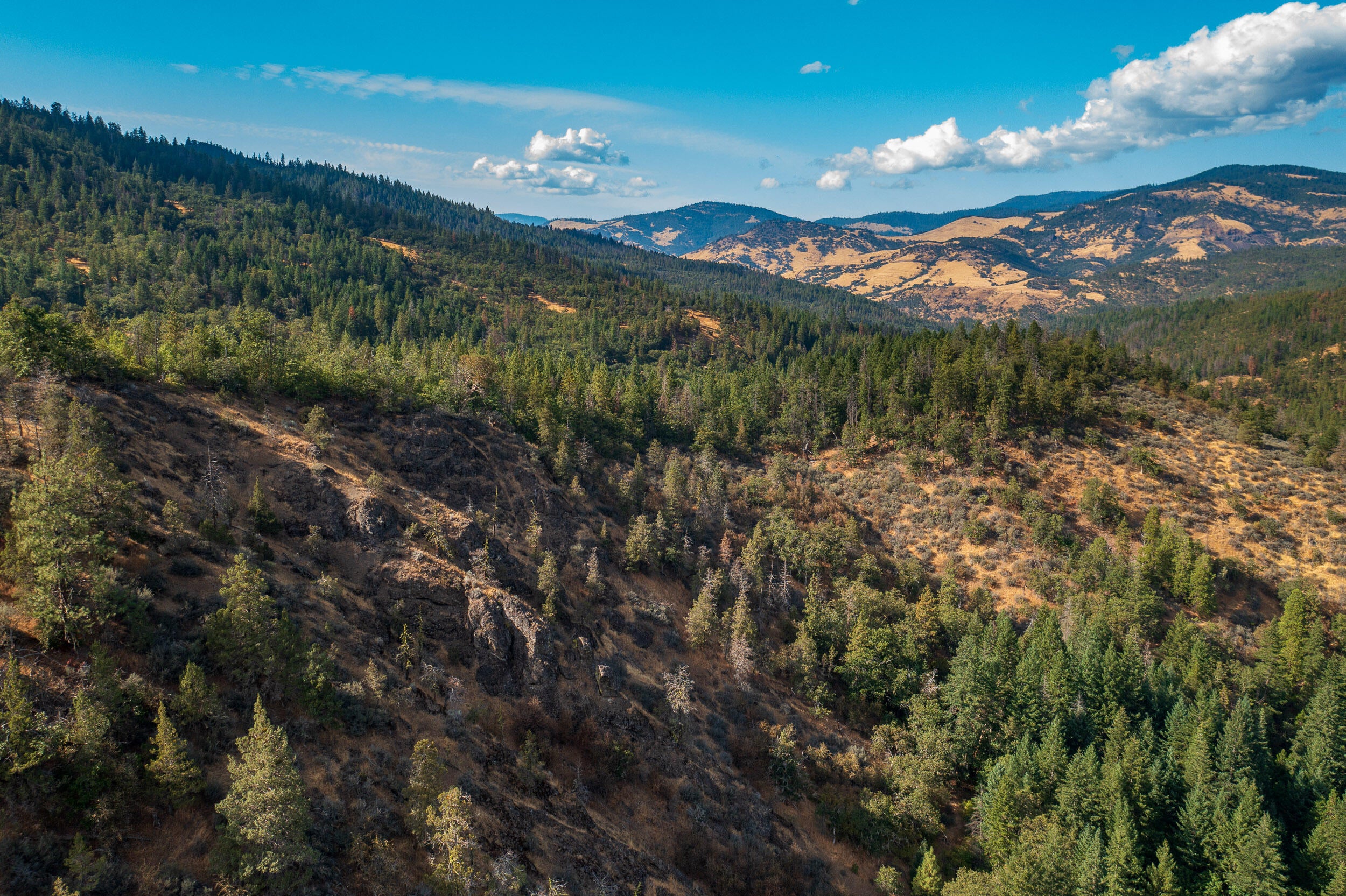 0 Buckhorn Springs Road Ashland, OR 97520 - Photo 12 of 39 Final (13)