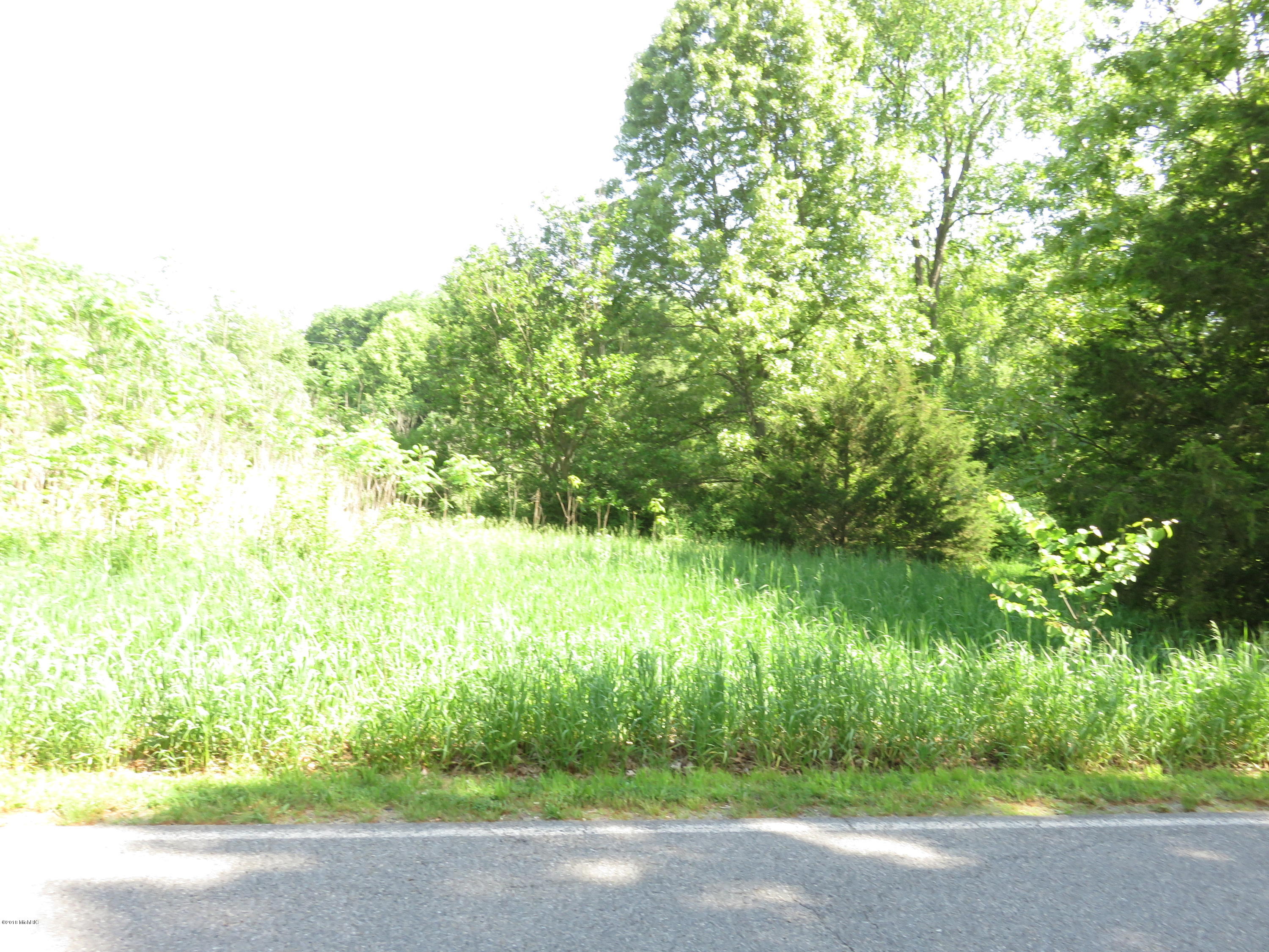 Wayne Street Union, MI 49130 - Photo 3 of 4 Evan Street 042