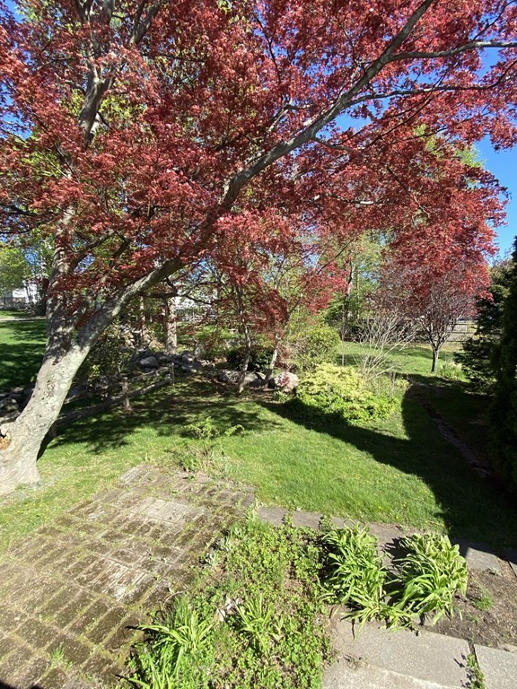 10 Staten Road Braintree, MA 02184 - Photo 6 of 29 Gallery Image 6