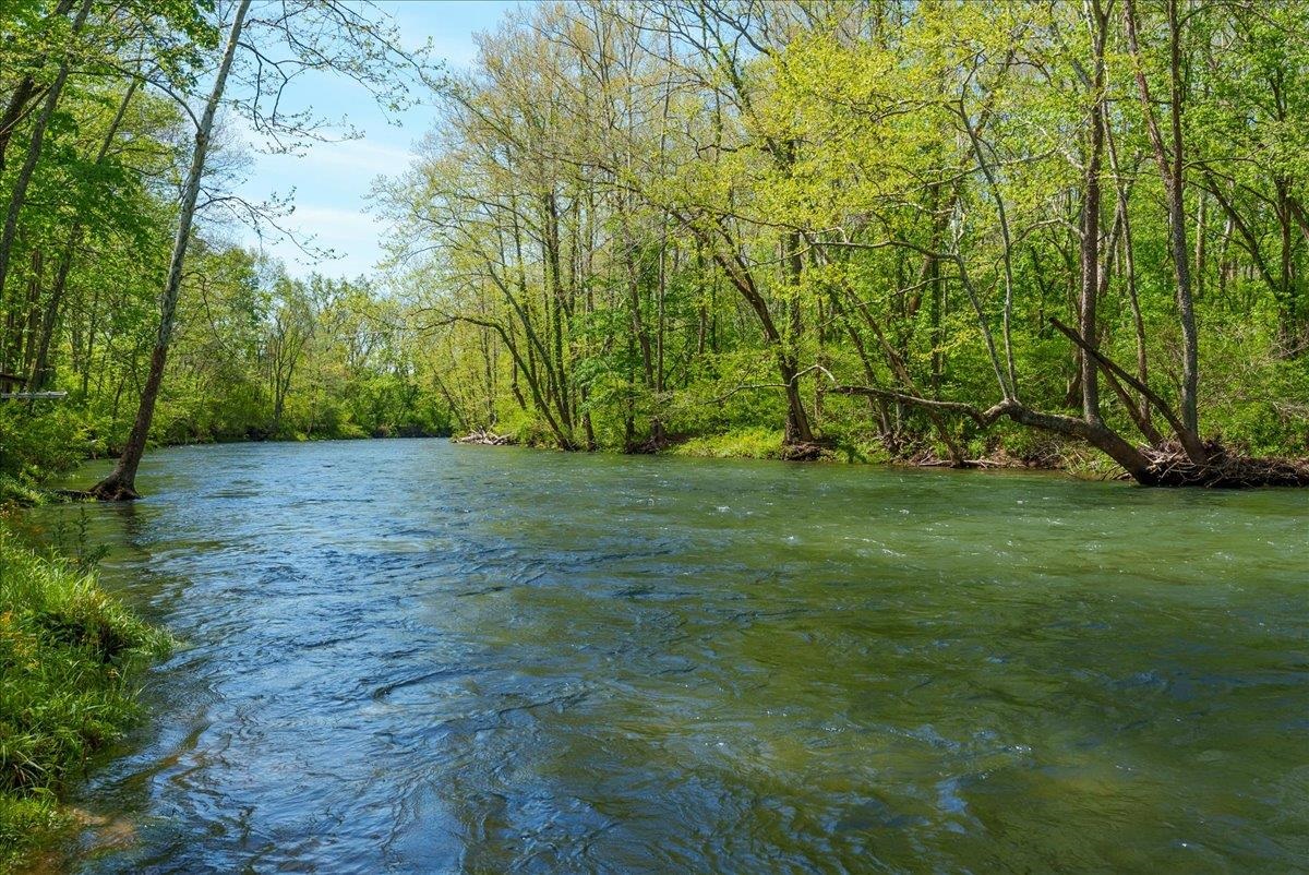 5612 Jackson River Road Hot Springs, VA 24445 - Photo 10 of 53 Gallery Image 10