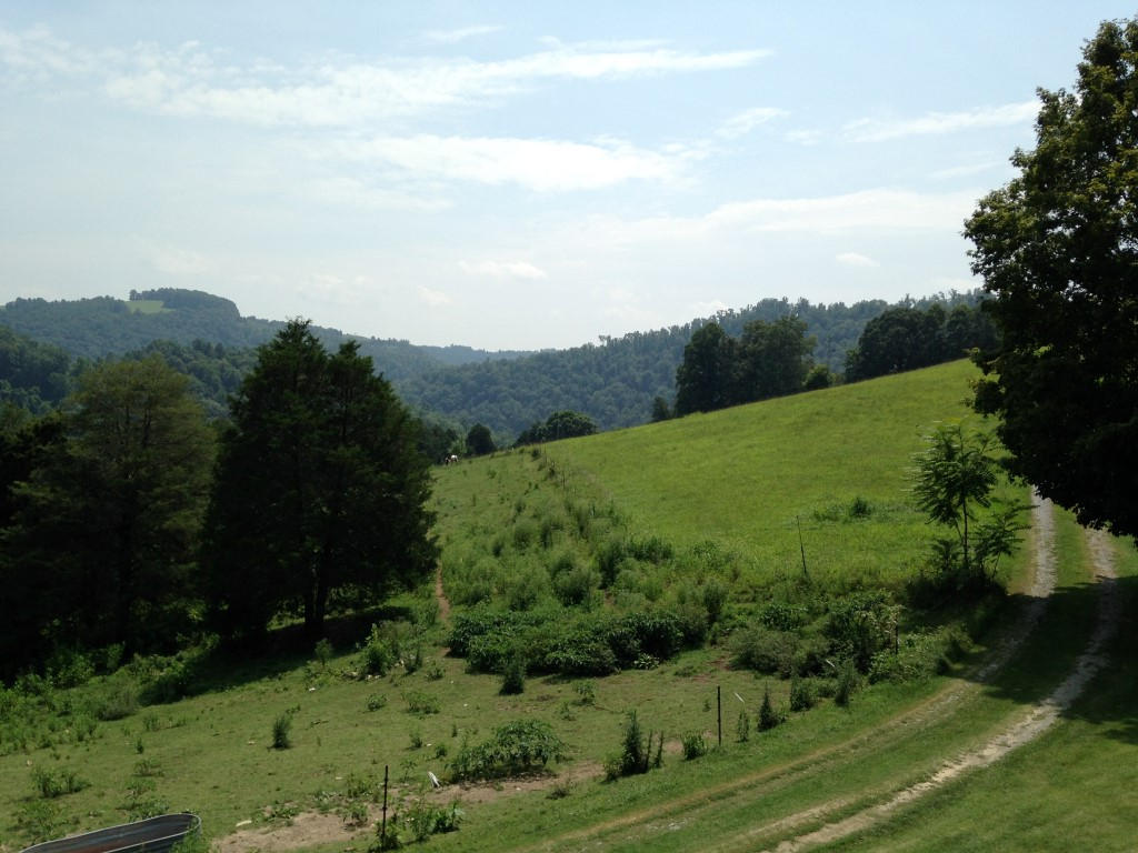 1597 Poplar Grove Road Harrogate, TN 37752 - Photo 3 of 18 IMG_6772