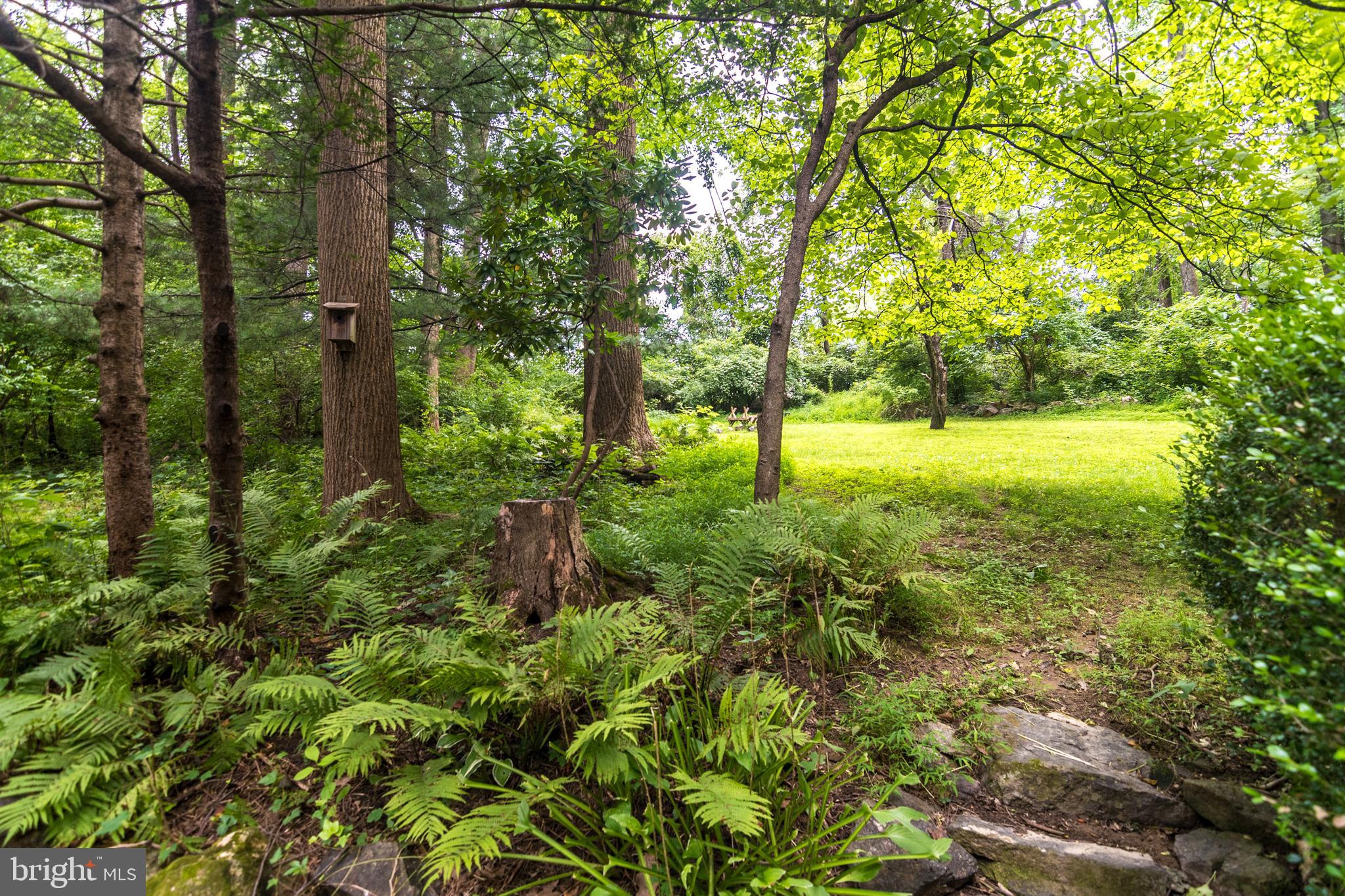 3127 Funks Mill Road Riegelsville, PA 18077 - Photo 21 of 25
