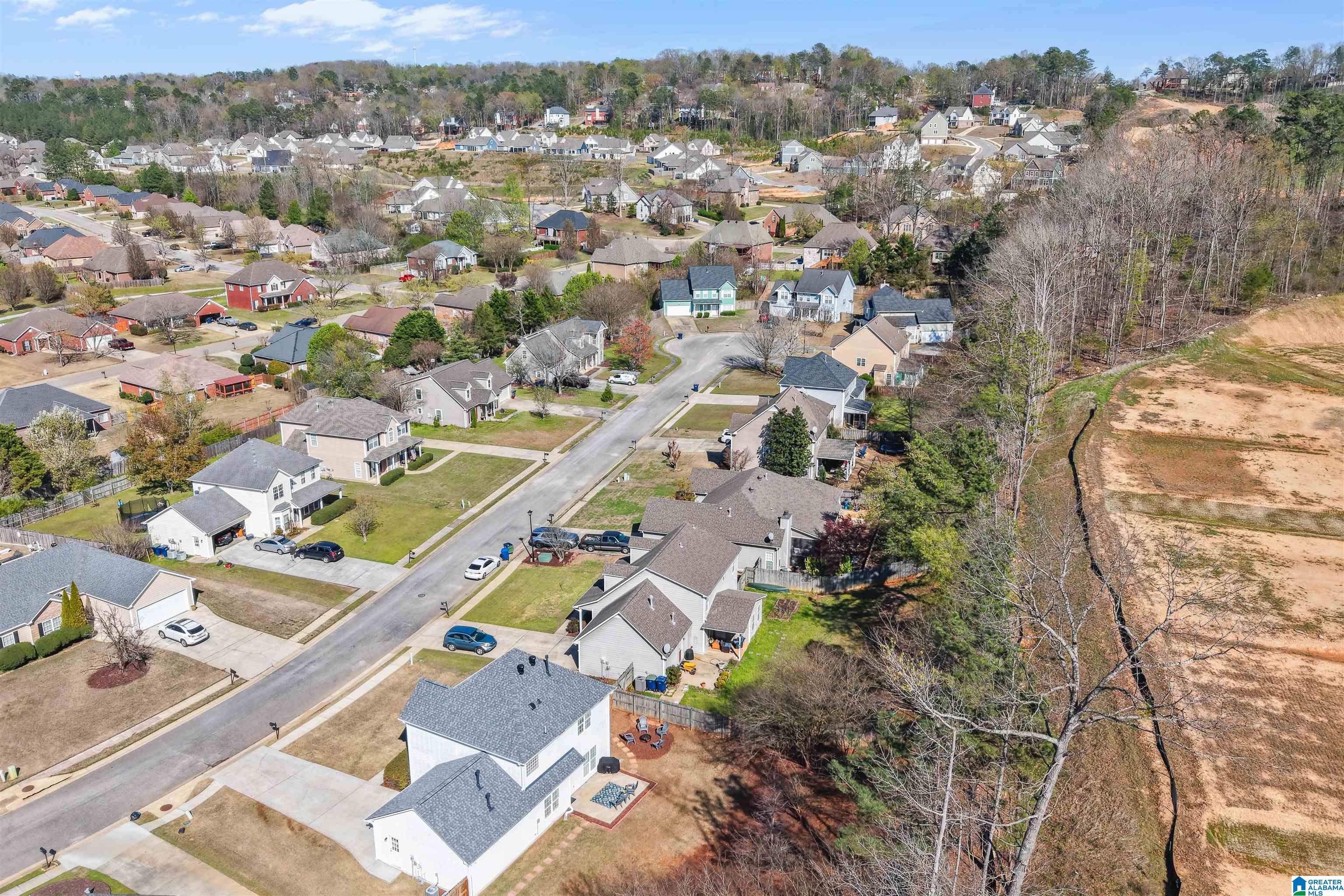 132 Victoria Station Alabaster, AL 35114 - Photo 50 of 50