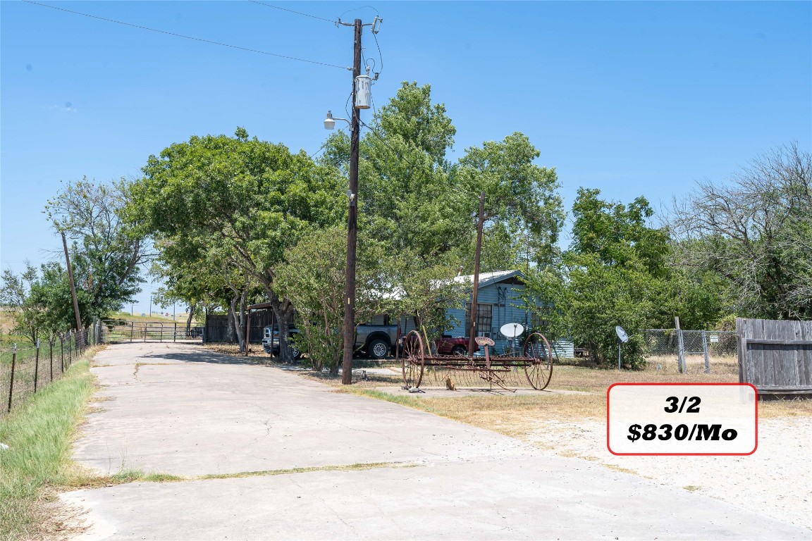 Tbd Tbd Bluebonnet Road Lockhart, TX 78644 - Photo 16 of 32 a view of a park with palm trees