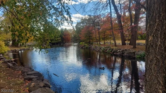 a front view of a house with a yard and trees