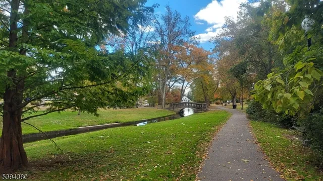 a view of a park with large trees
