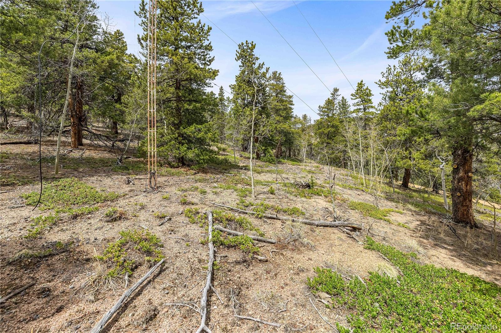 125 Rd P62 Bailey, CO 80421 - Photo 31 of 39