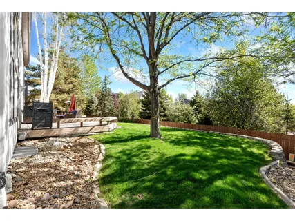 a view of yard with tree in the background