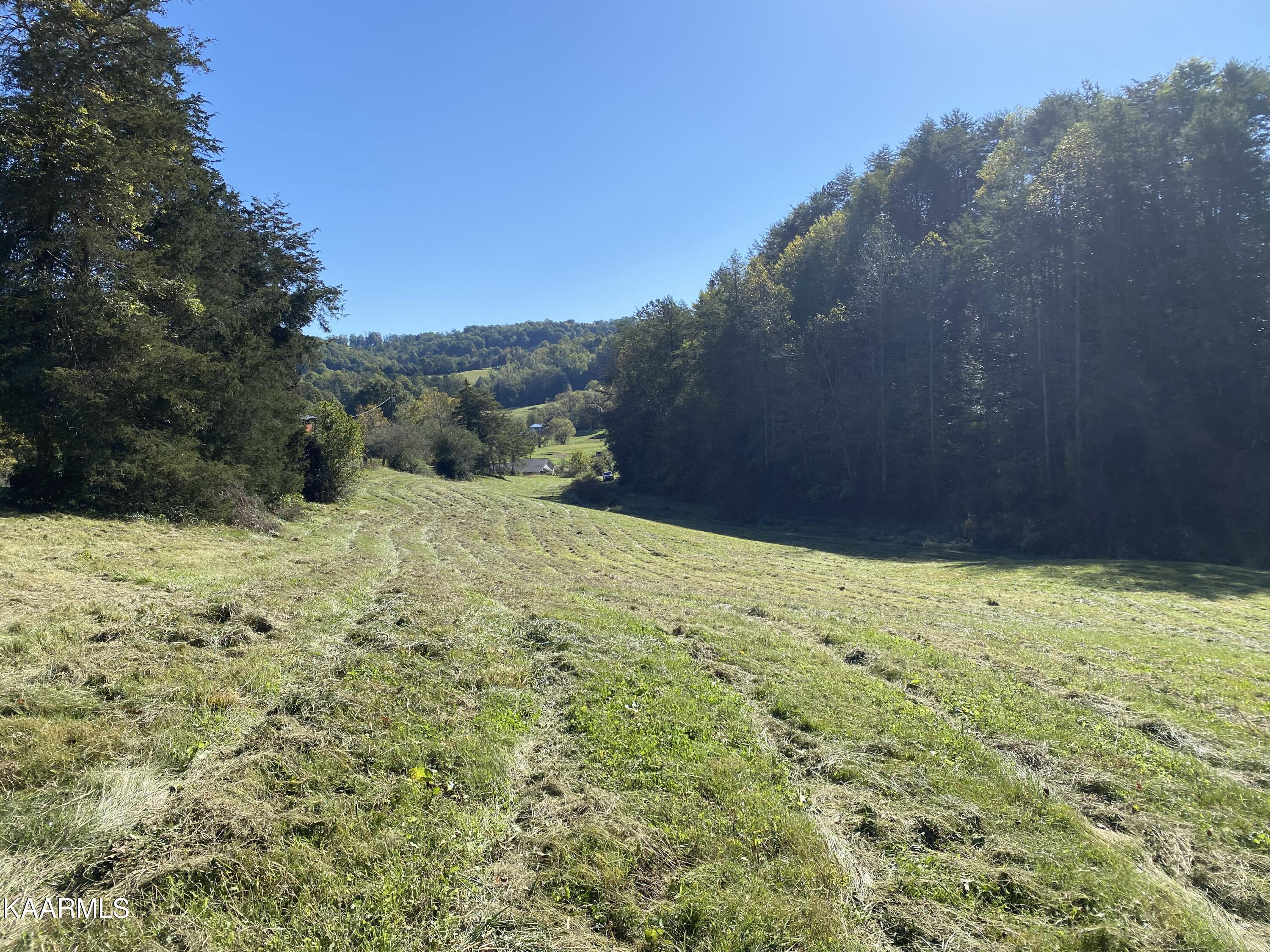 Fall Creek Maynardville, TN 37807 - Photo 11 of 11 7DDE83A2-022E-4971-9FA5-5D74DC4AFF98
