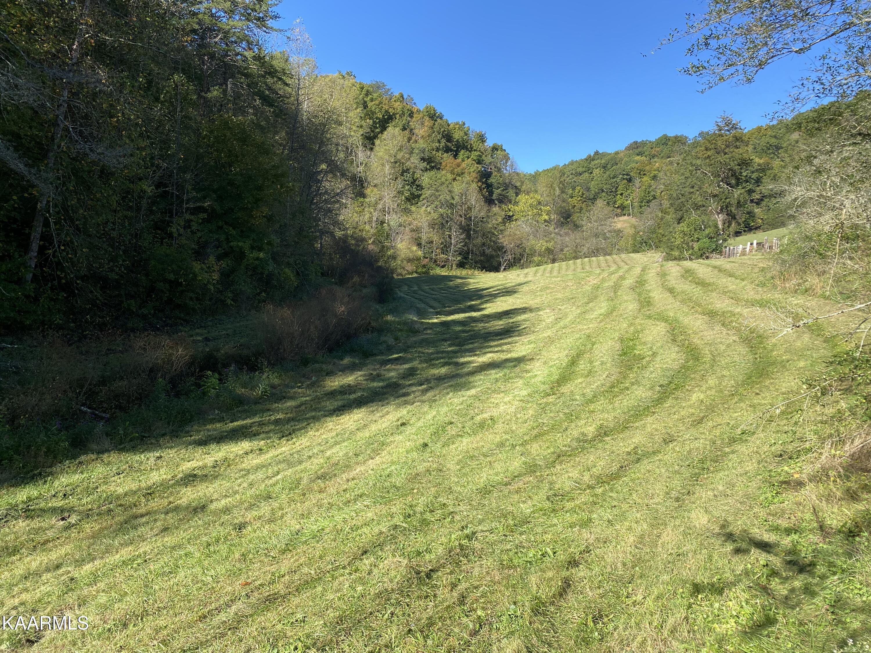 Fall Creek Maynardville, TN 37807 - Photo 4 of 11 B02F01C8-CE55-4859-A52D-C1E16C417DA7