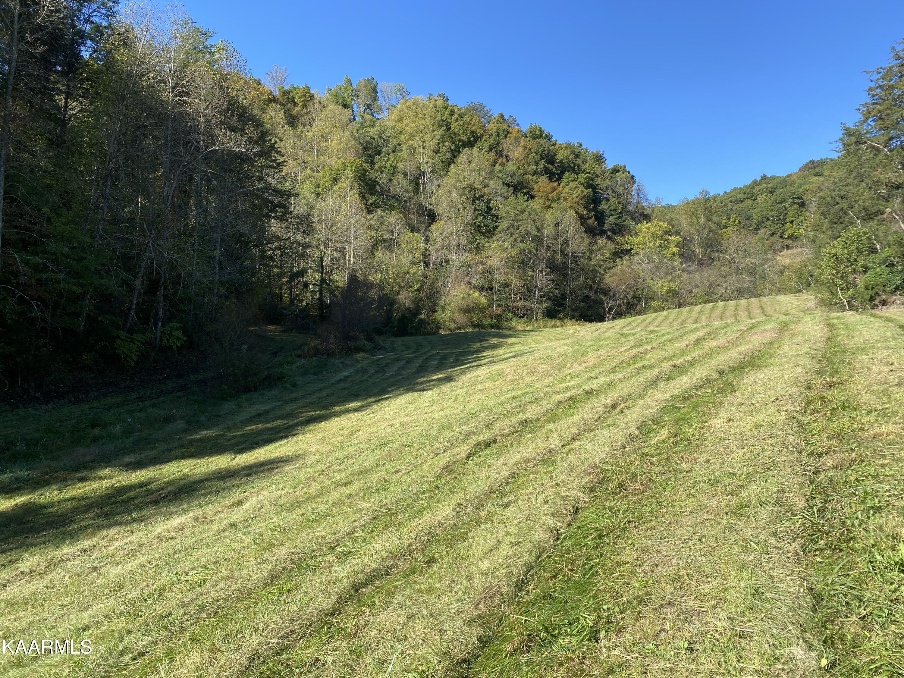 Fall Creek Maynardville, TN 37807 - Photo 5 of 11 9EEED7A1-F939-4FAD-B46F-76280B528CFF