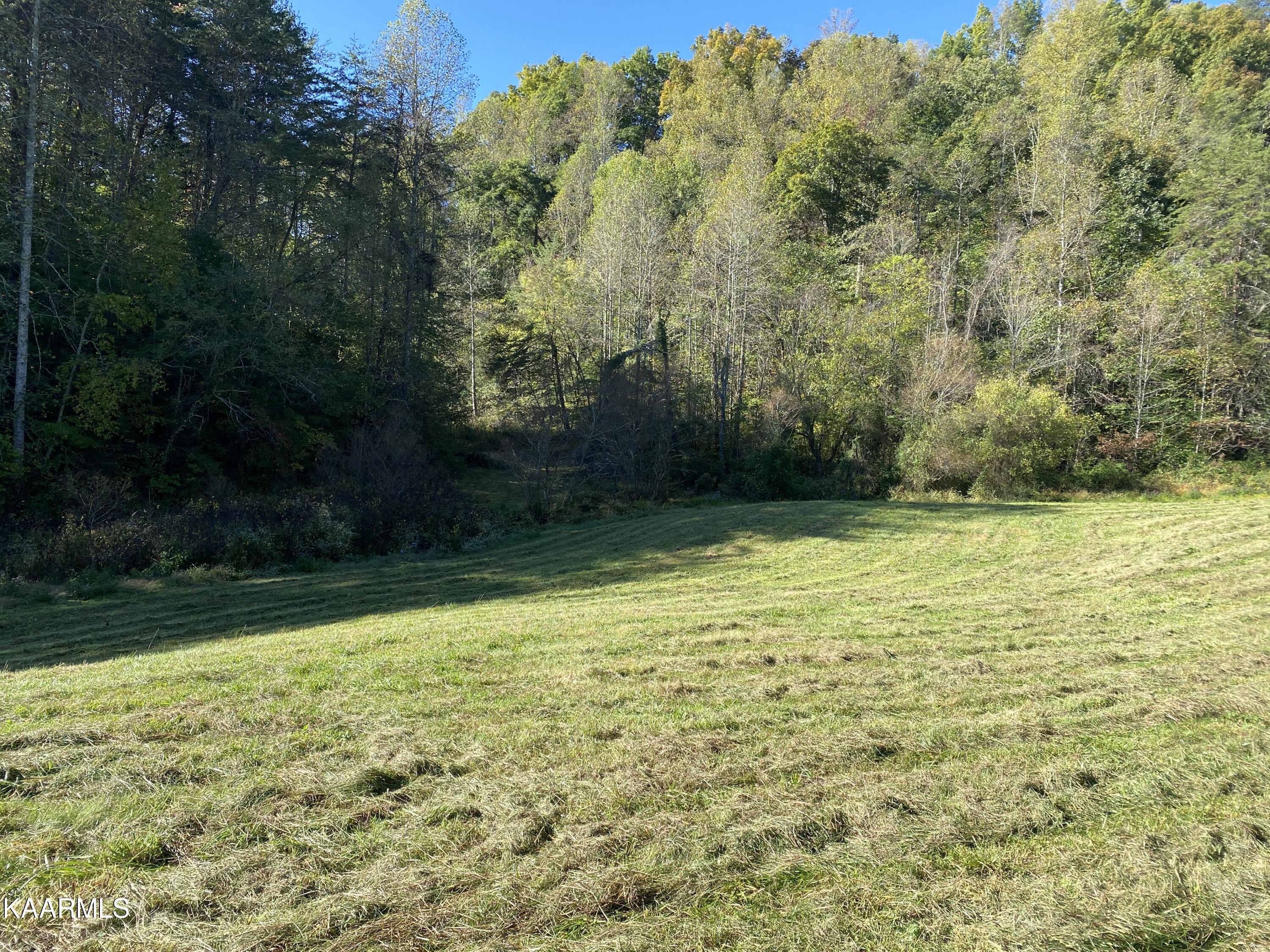 Fall Creek Maynardville, TN 37807 - Photo 6 of 11 C22D26E7-B015-4529-8848-29484BC0F517
