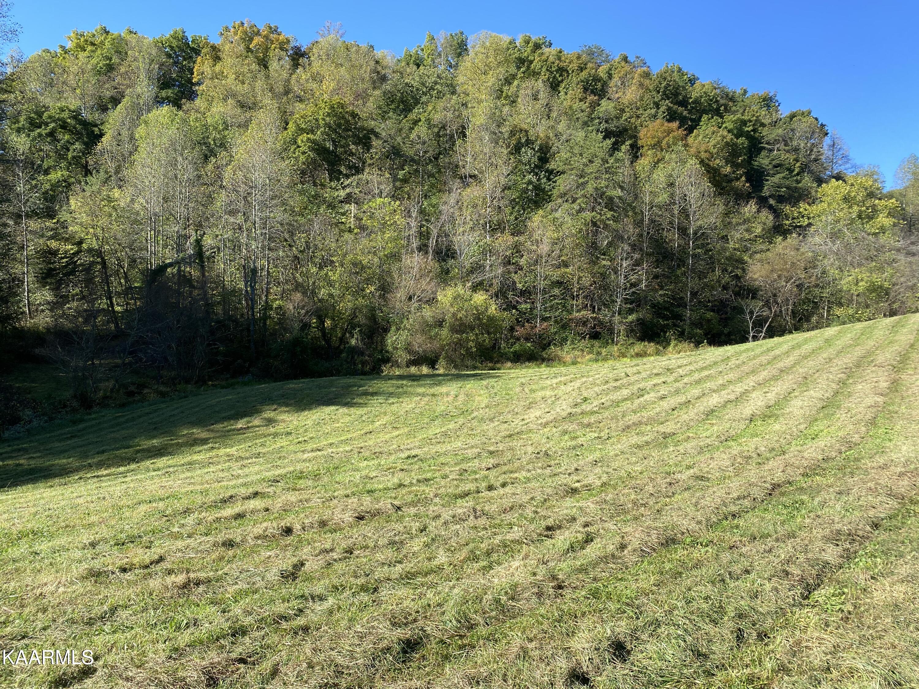 Fall Creek Maynardville, TN 37807 - Photo 7 of 11 AA863312-39B2-4DEA-92F5-CFDDB06E0092