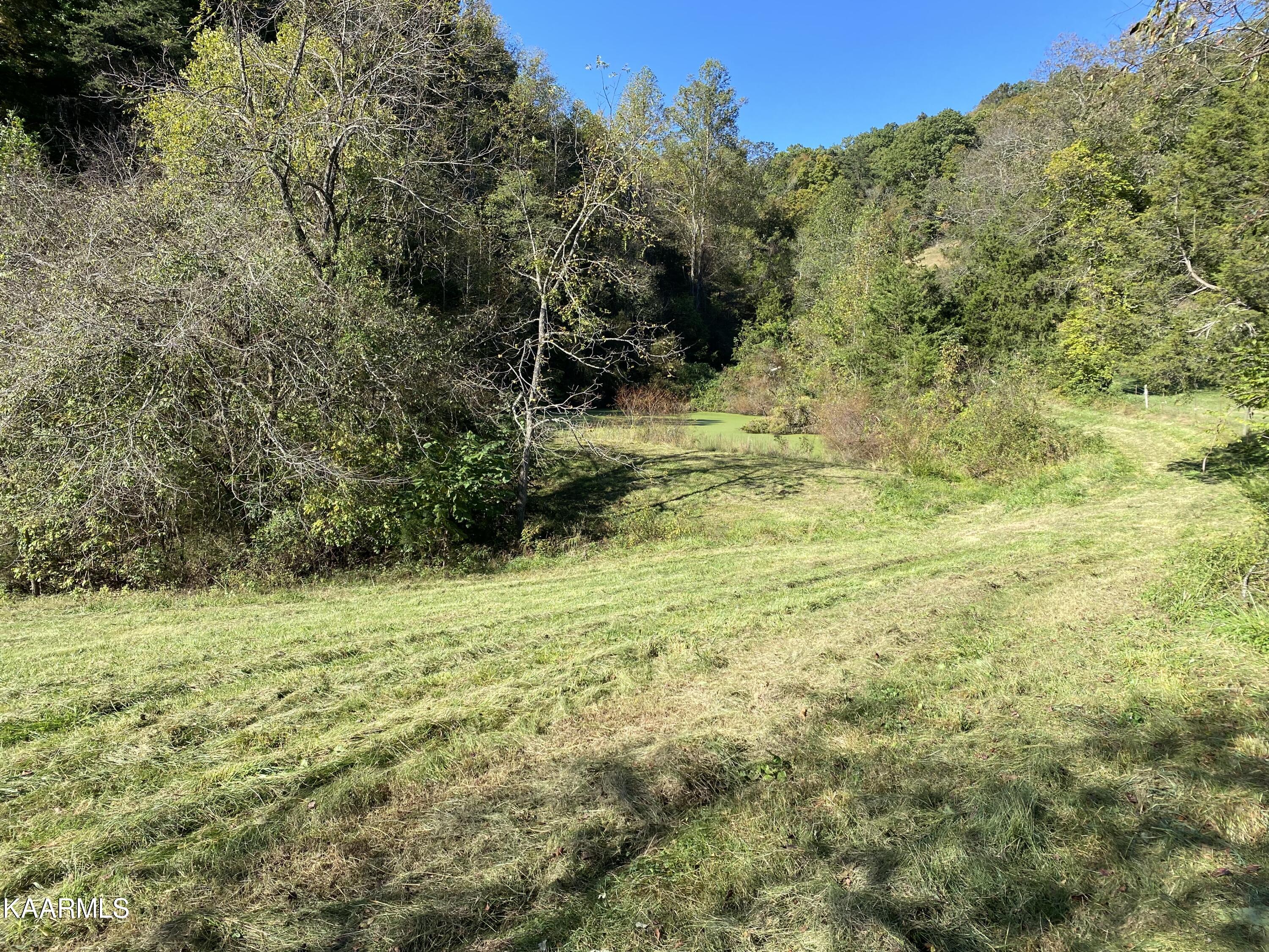 Fall Creek Maynardville, TN 37807 - Photo 8 of 11 E471BA2C-F32B-4B8C-8AB2-A106EB23A13A