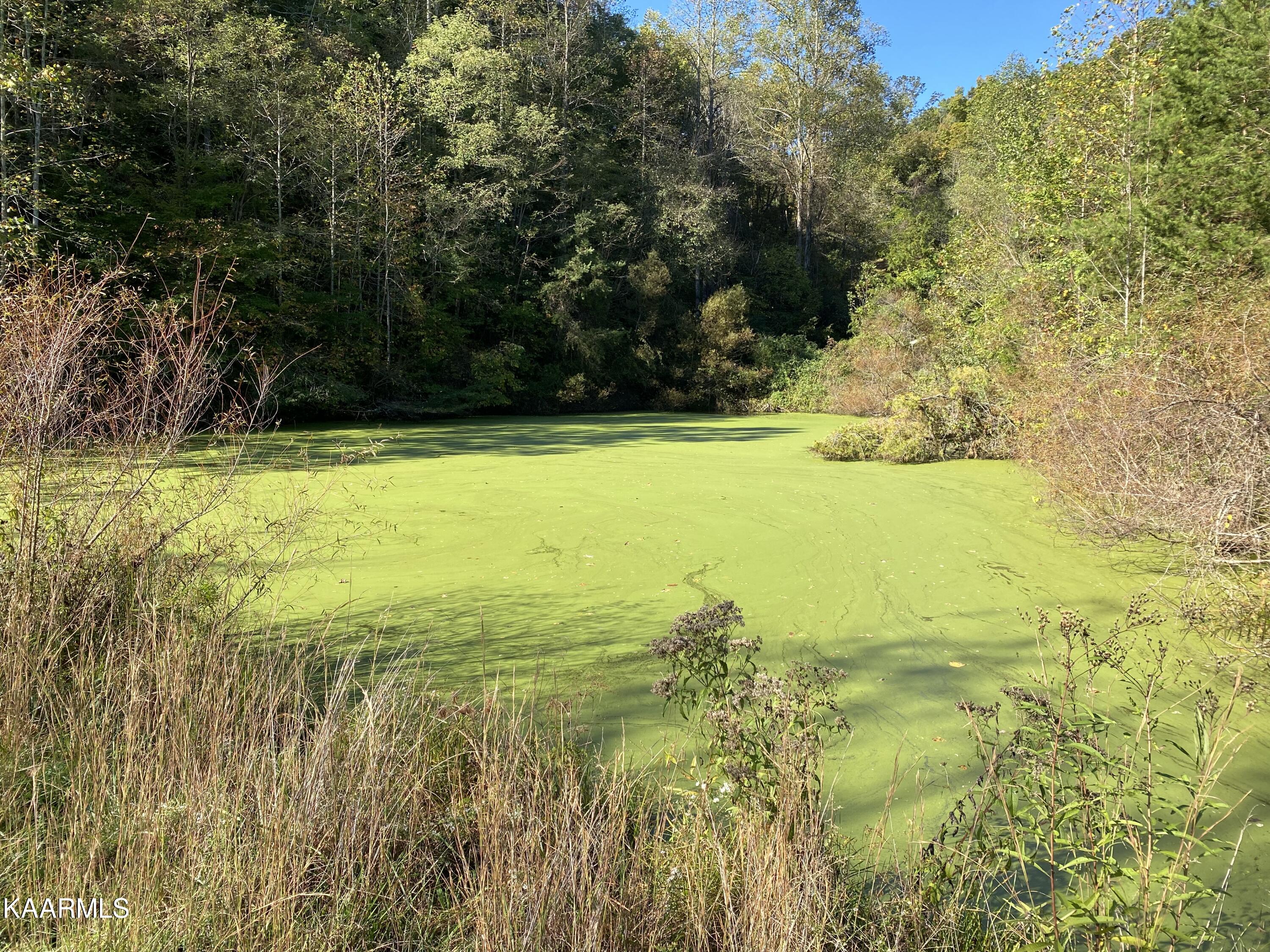 Fall Creek Maynardville, TN 37807 - Photo 9 of 11 5D7C5244-EC5E-4F38-A7B6-8E08015A7211