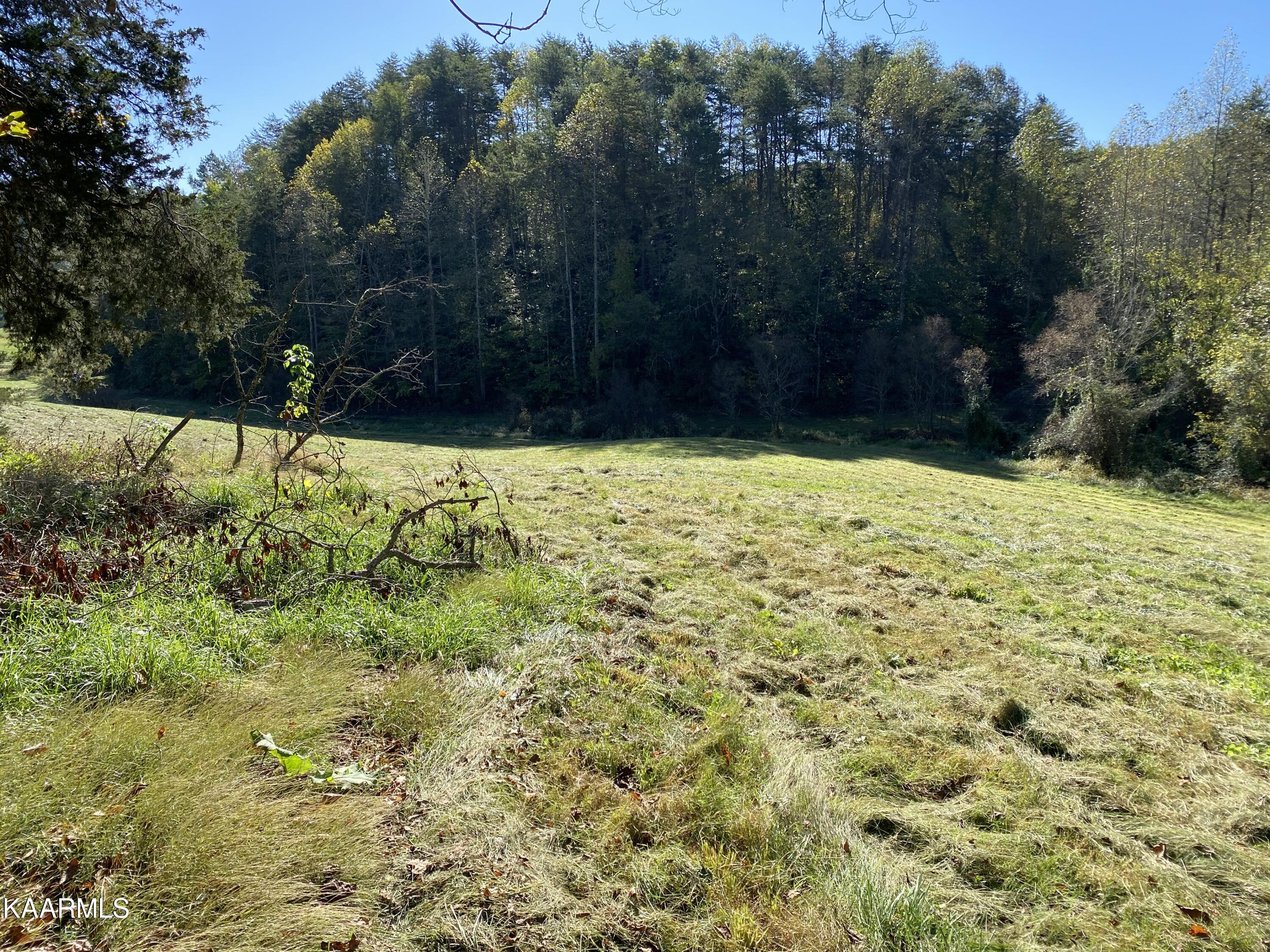 Fall Creek Maynardville, TN 37807 - Photo 10 of 11 F16470E7-D724-435A-B2FD-4C7970BB4212