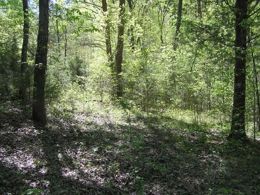 633 Graham Road Dunlap, TN 37327 - Photo 2 of 9 Gallery Image 2