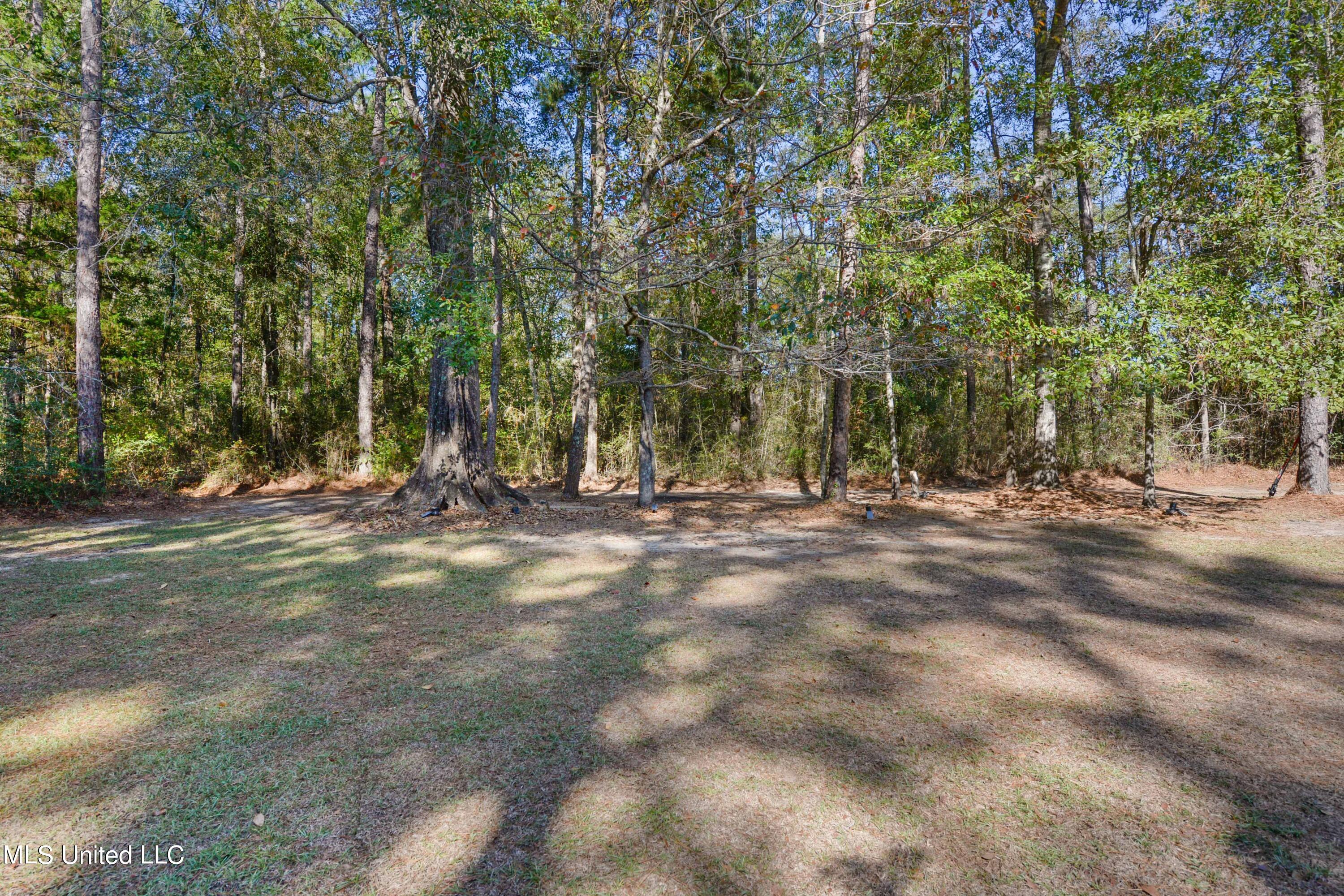 166 Geiger Road Lucedale, MS 39452 - Photo 25 of 27 ALMOST 7 ACRES OF BLISSFUL PRIVACY!