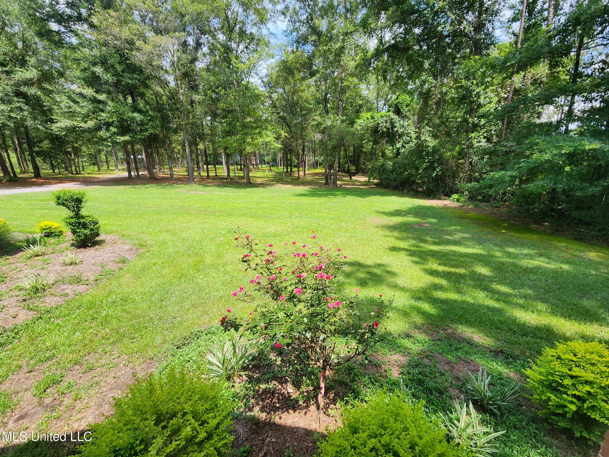 166 Geiger Road Lucedale, MS 39452 - Photo 3 of 27 FRONT YARD