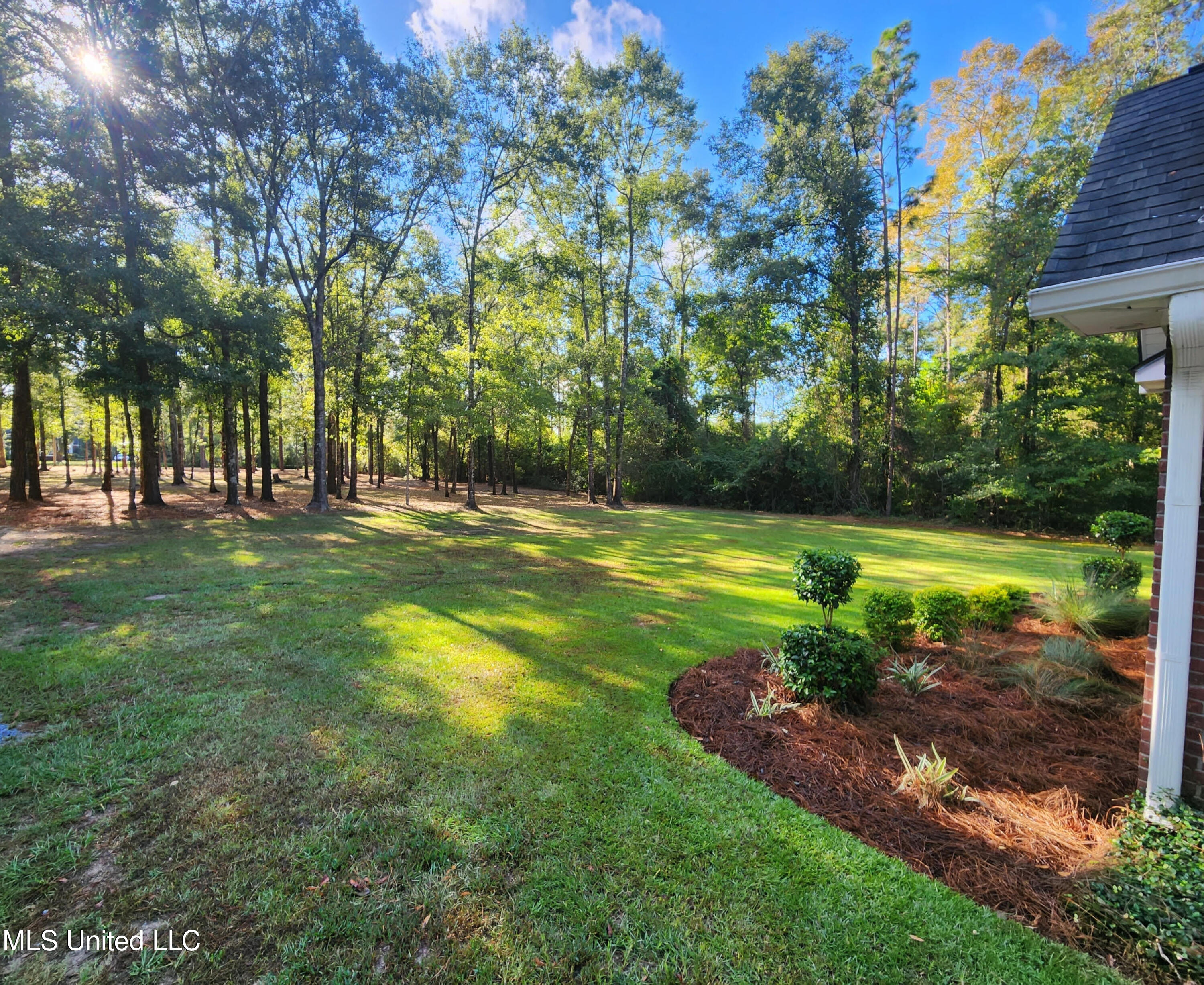 166 Geiger Road Lucedale, MS 39452 - Photo 4 of 27 FRONT YARD