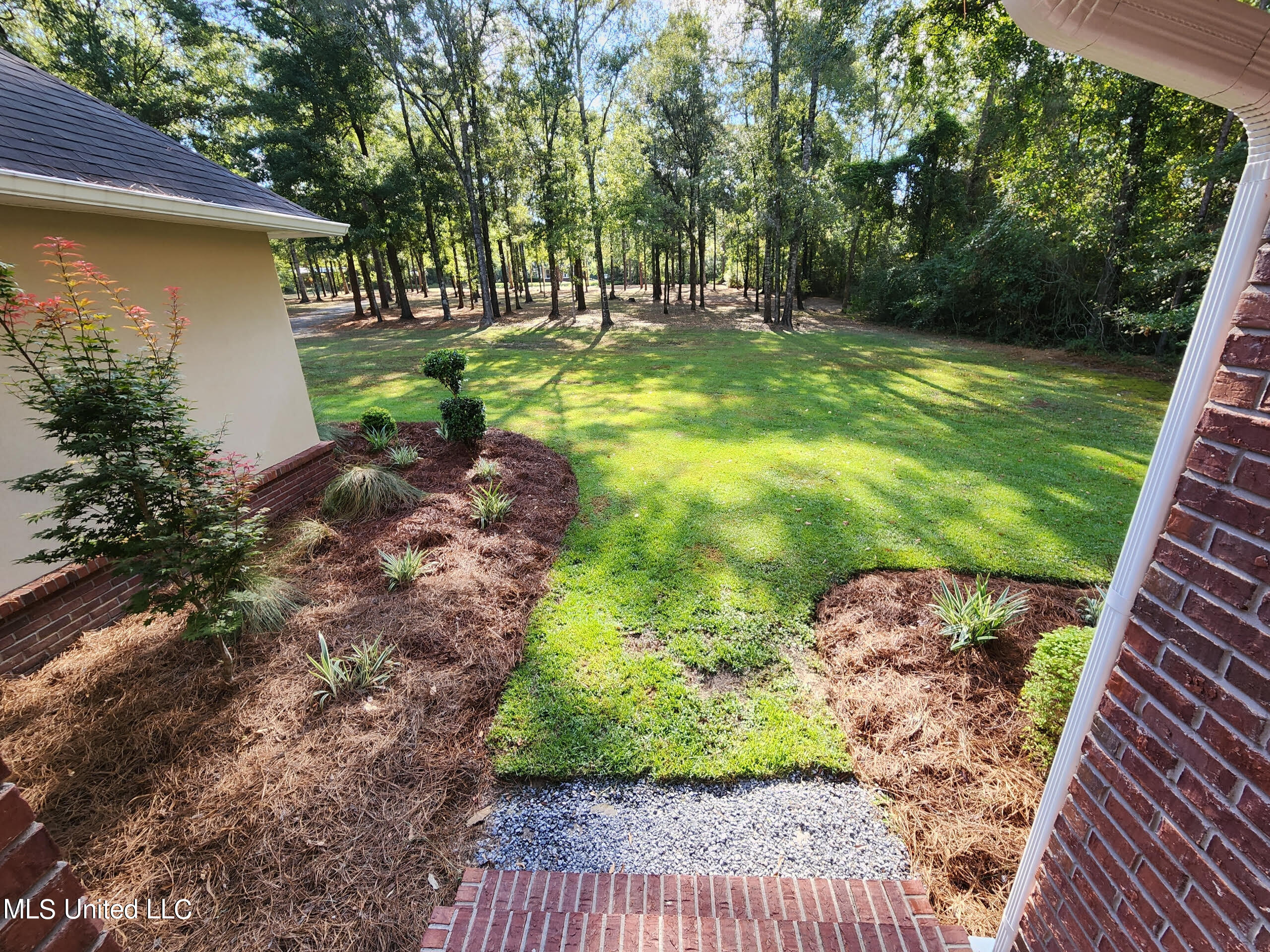 166 Geiger Road Lucedale, MS 39452 - Photo 5 of 27 VIEW FROM FRONT DOOR