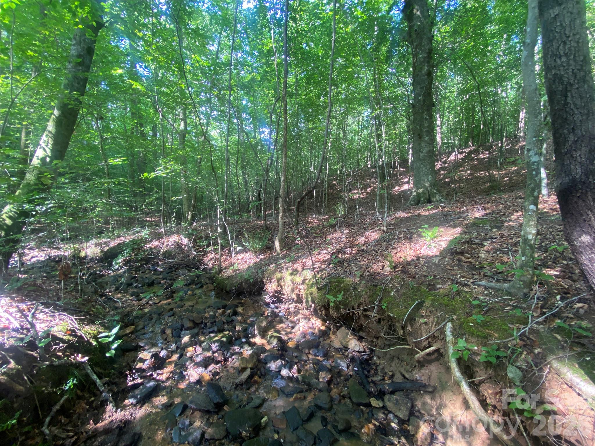 0 Camp McCall Road Bostic, NC 28018 - Photo 11 of 30 a view of forest