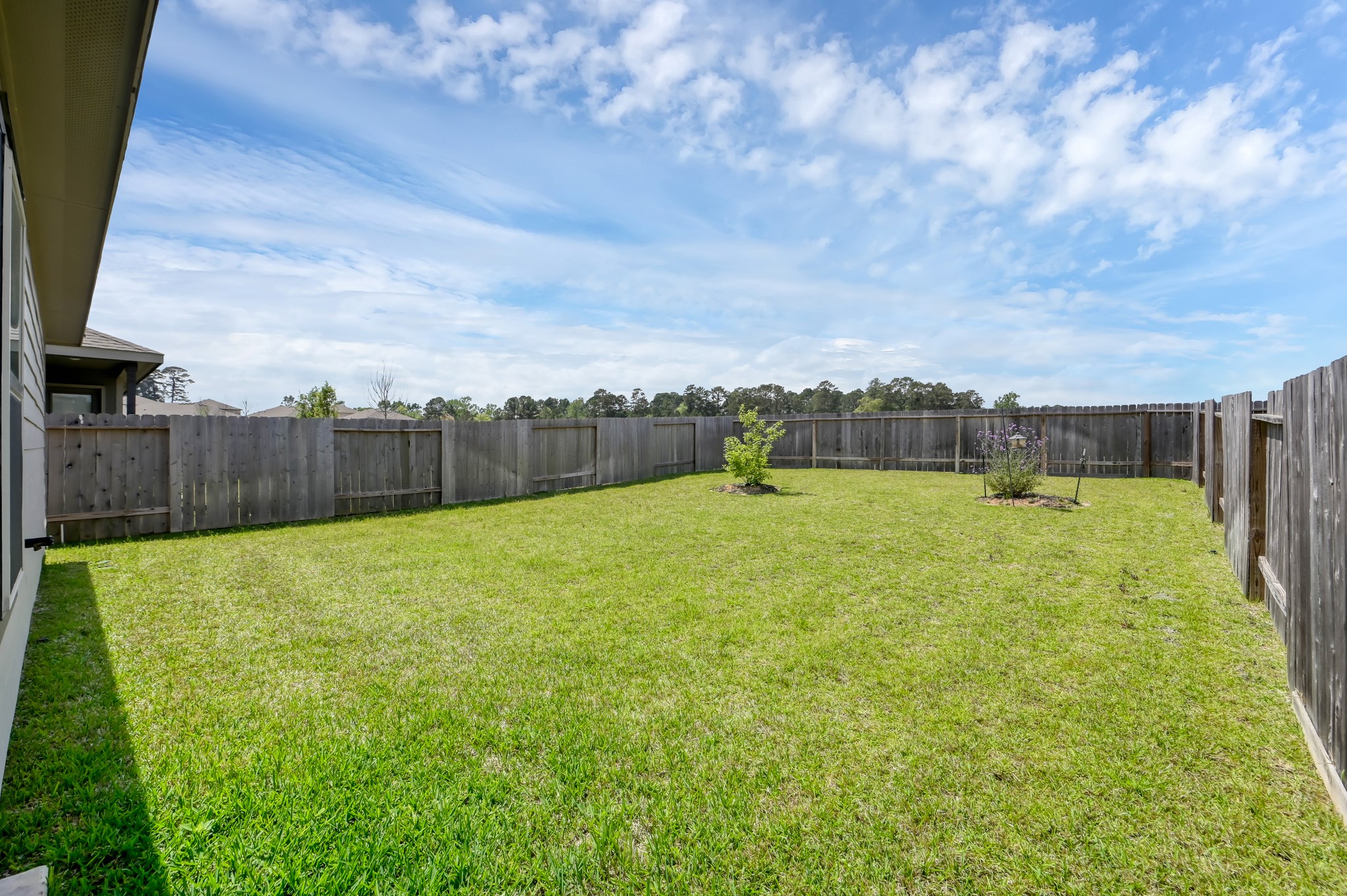 514 Dalloway Street Conroe, TX 77316 - Photo 21 of 27 Backyard with sprinkler system