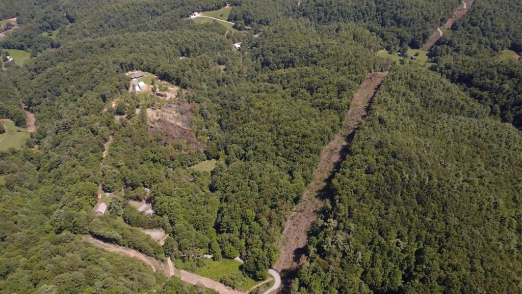 0 Halls Top Road Hartford, TN 37753 - Photo 4 of 18 Gallery Image 4