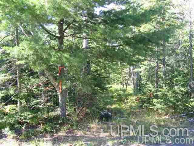 Tbd Seven Mile Point (16) Road Allouez, MI 49805 - Photo 45 of 50