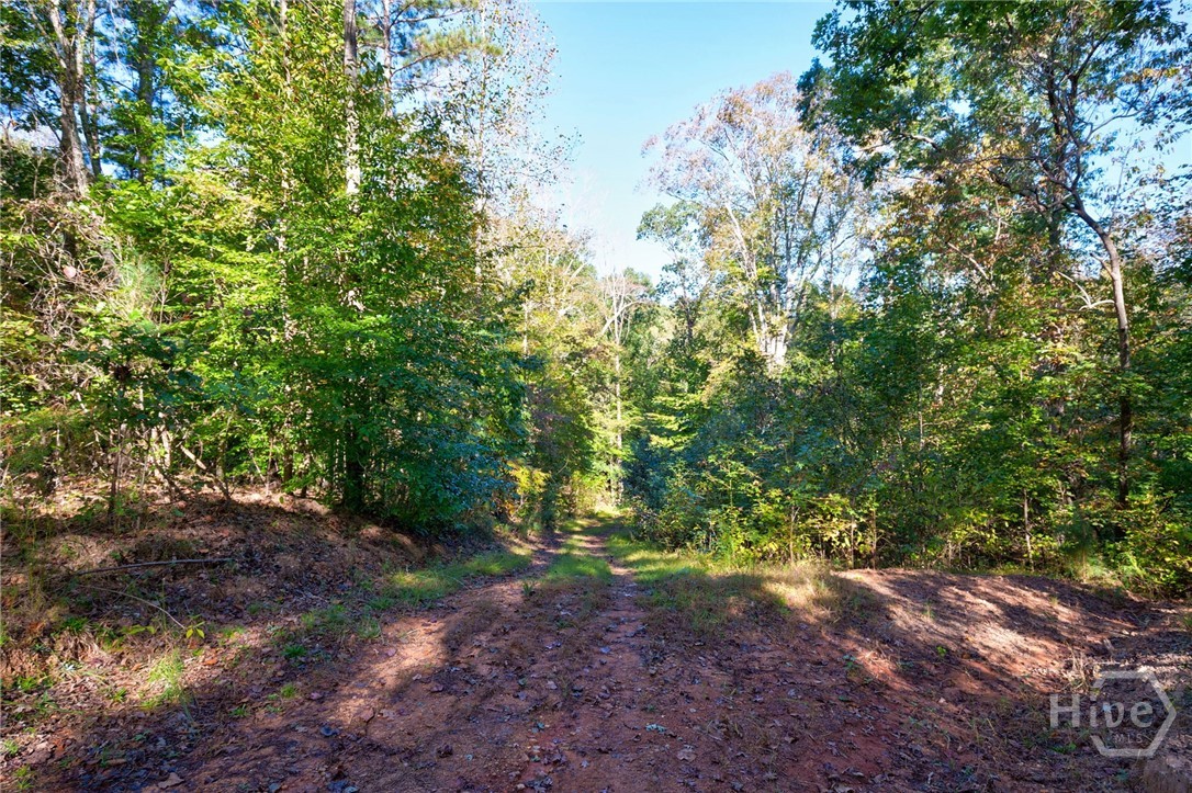 1 Bridges Road Carlton, GA 30627 - Photo 13 of 33
