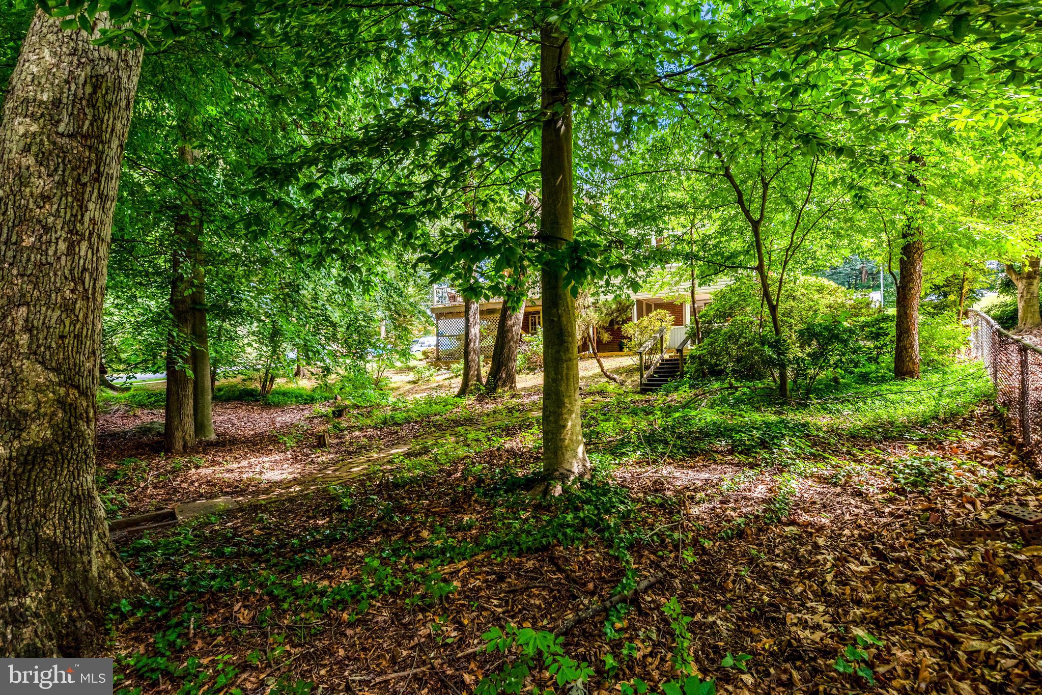 8602 Clydesdale Road Springfield, VA 22151 - Photo 45 of 49