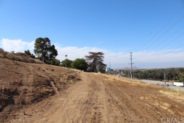 3203 Gibraltar Dr. Riverside, CA 92506 - Photo 1 of 1 a view of a dry yard with a large tree
