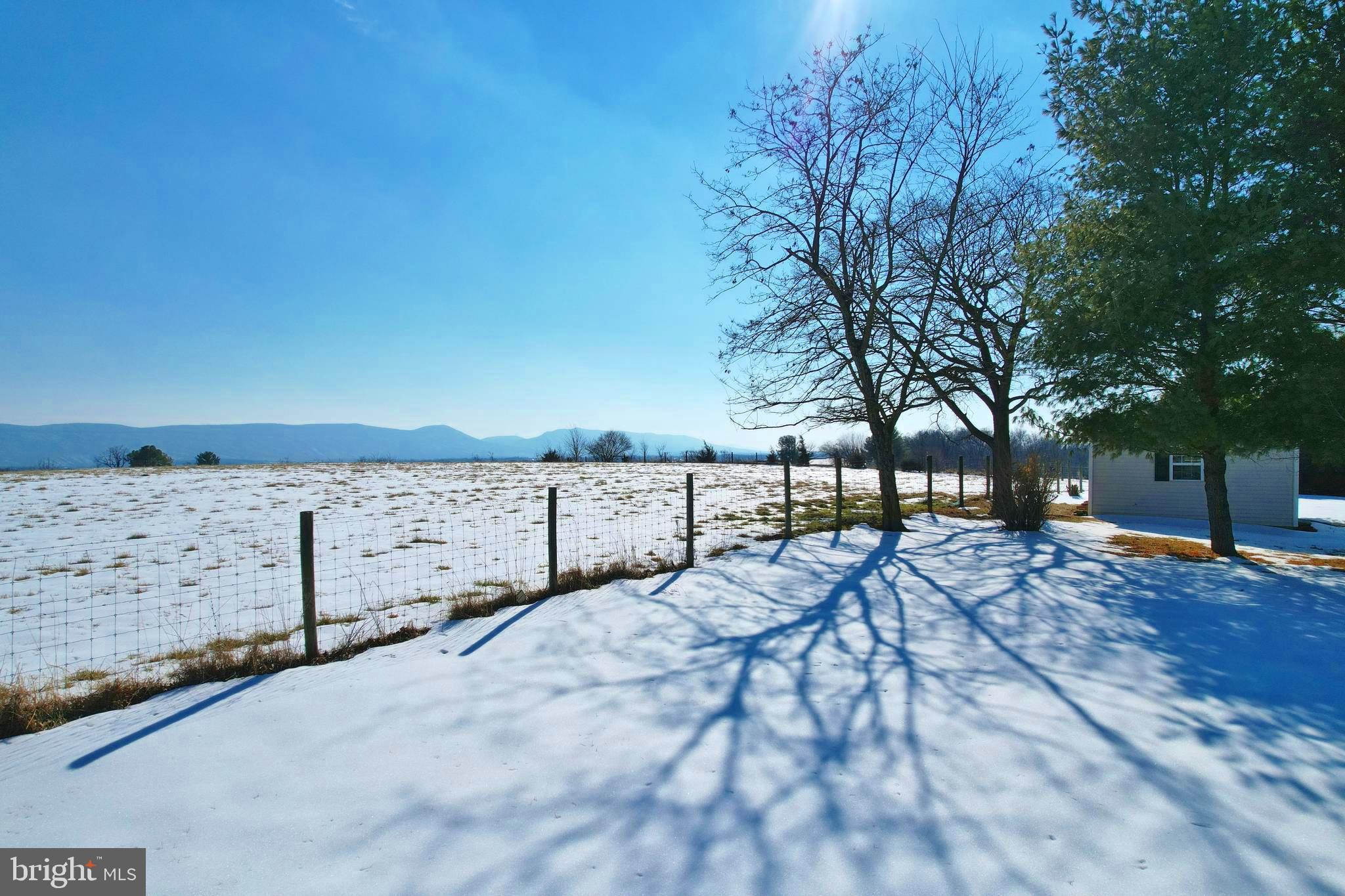8284 Back Road Maurertown, VA 22644 - Photo 13 of 54 a view of a backyard of the house
