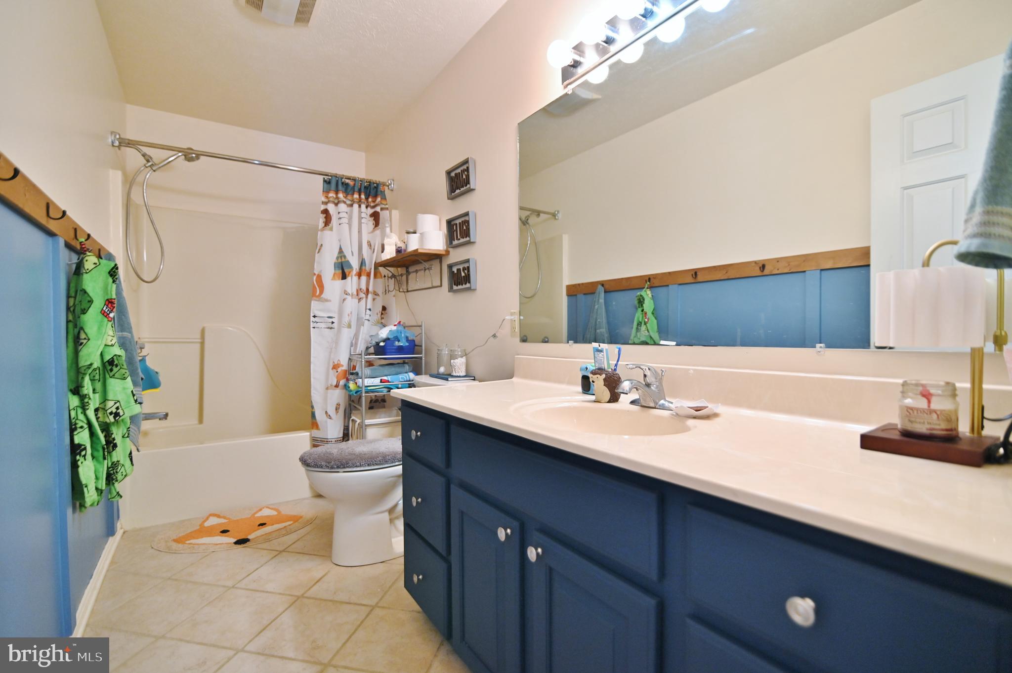 8284 Back Road Maurertown, VA 22644 - Photo 42 of 54 a bathroom with a sink a toilet and a mirror
