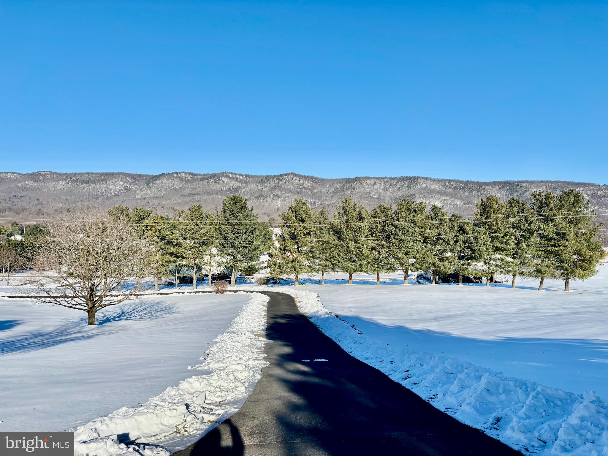 8284 Back Road Maurertown, VA 22644 - Photo 51 of 54 a view of an outdoor space